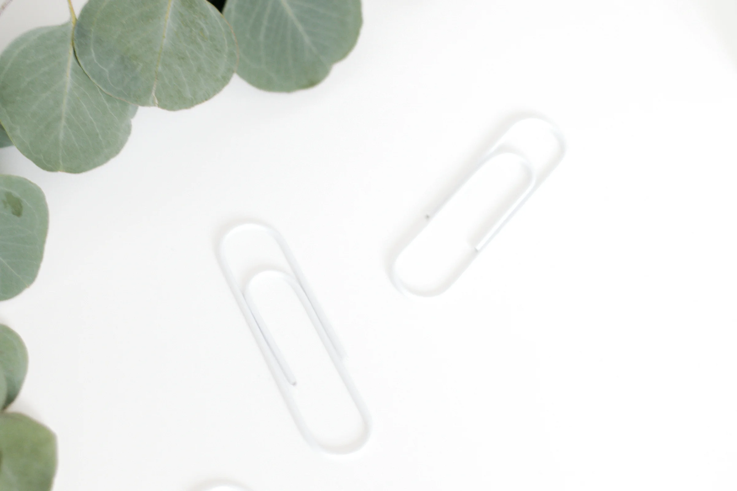 PBD-WhiteOut-Desktop-21.jpg