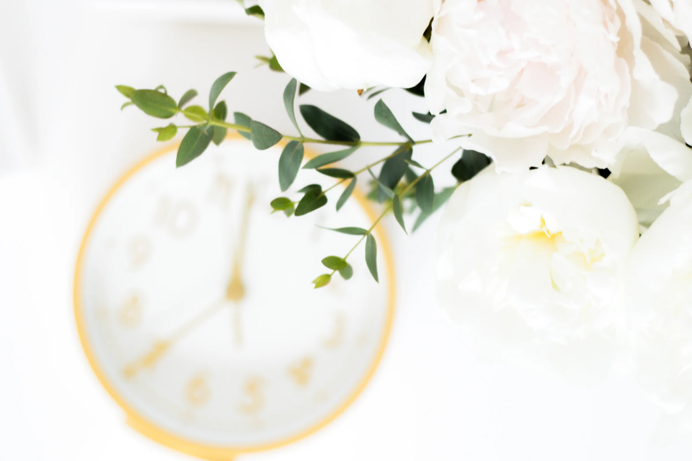 PBD-WhiteOut-Desktop-23.jpg