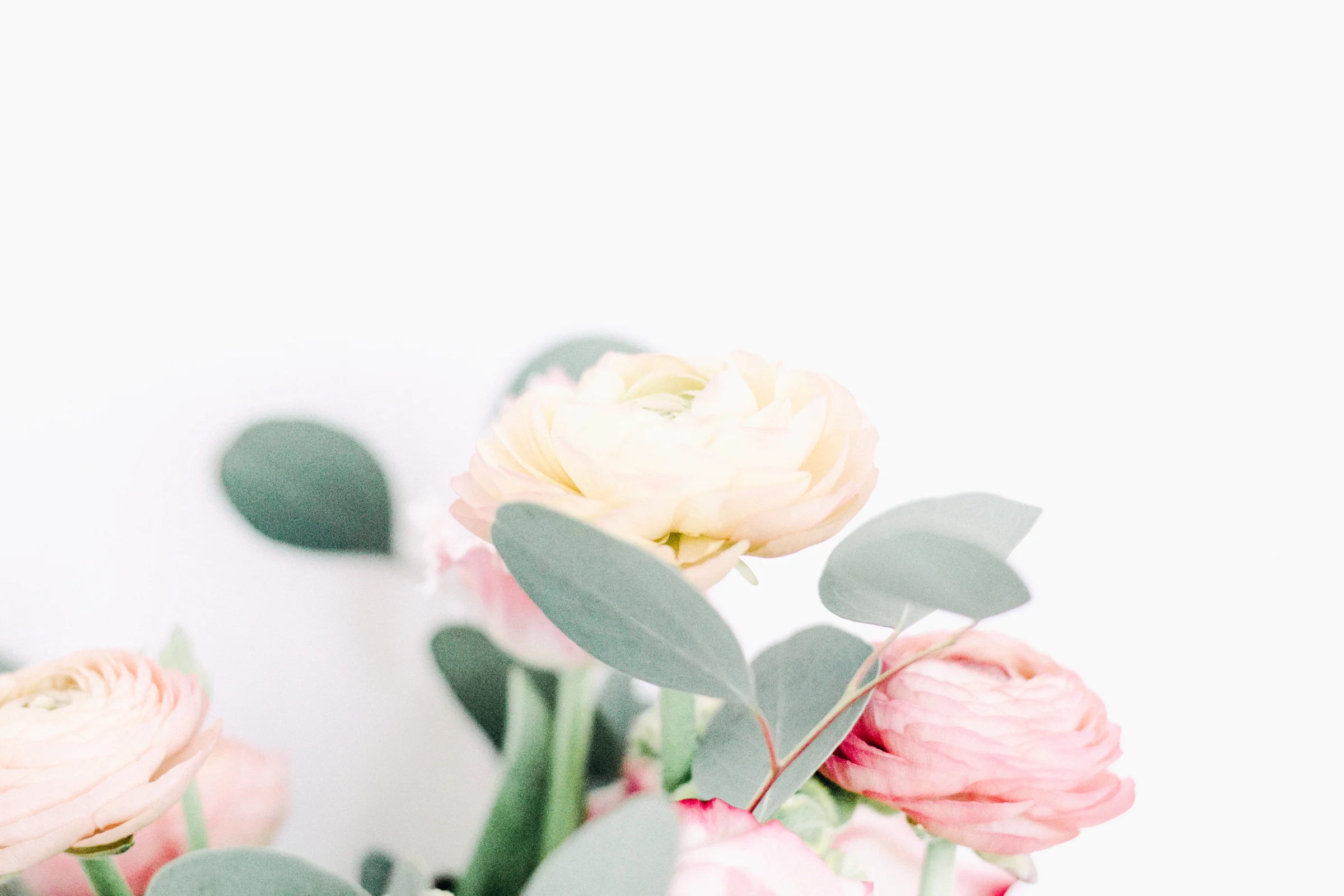 PBD-Darling-Flowers-10.jpg