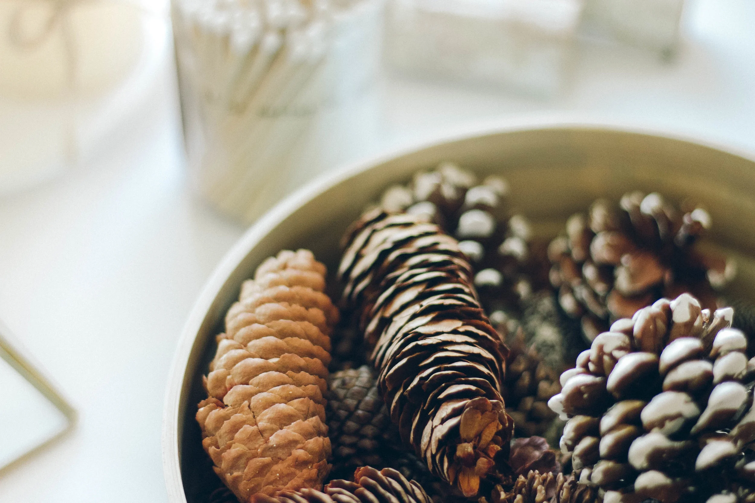 PBD Crisp Winter-10.jpg