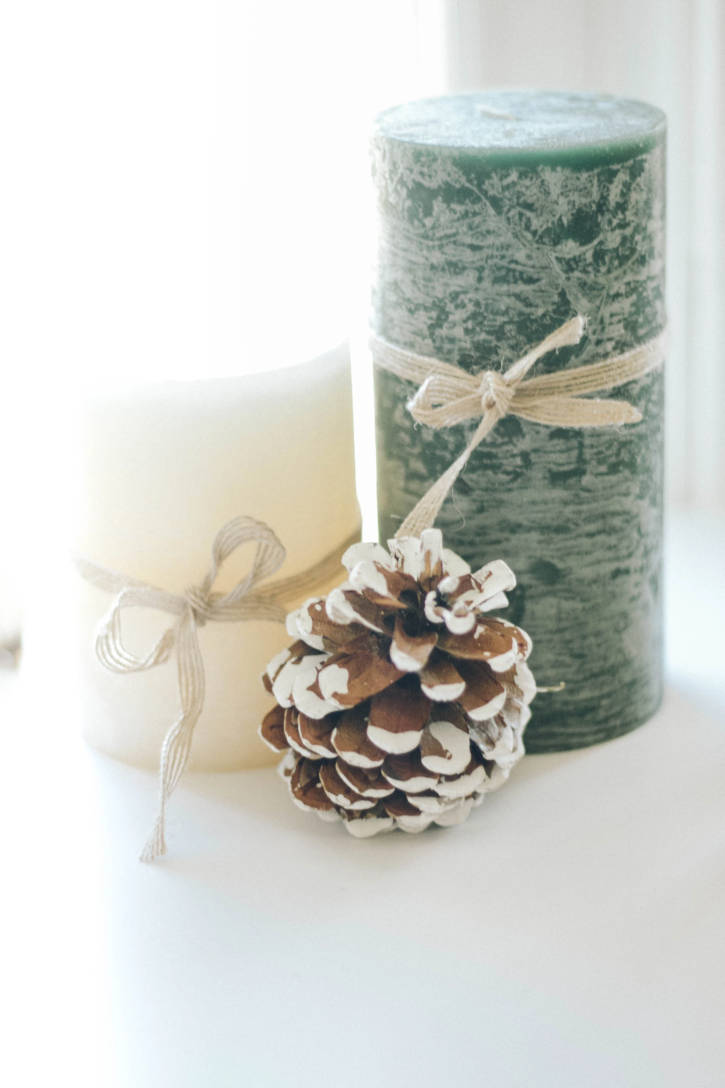 PBD Crisp Winter-29.jpg