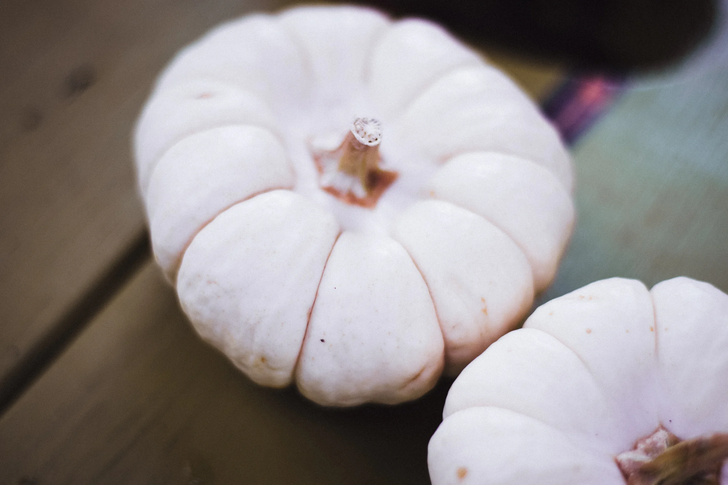 PBD Pumpkin Patch-5.jpg