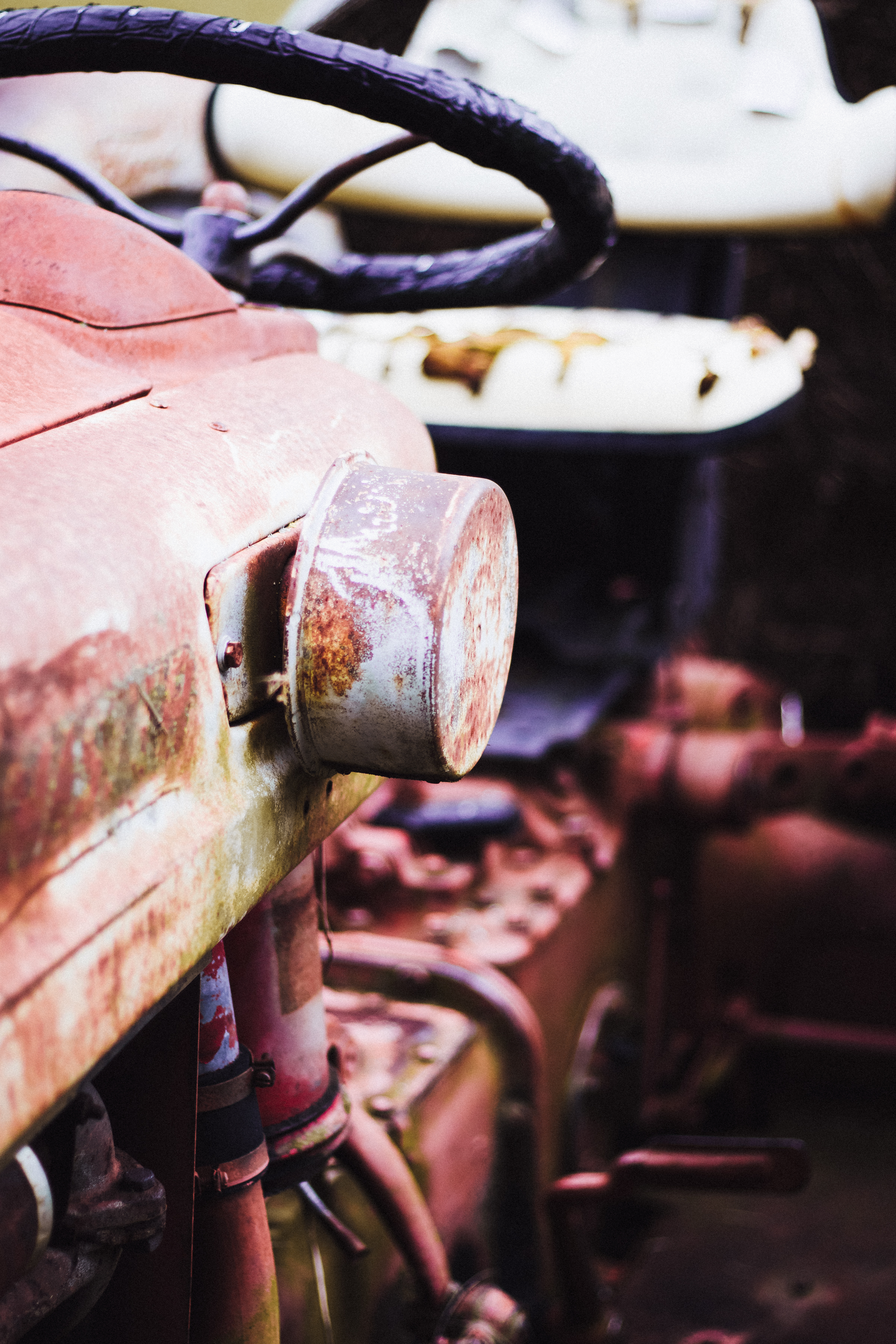 PBD Pumpkin Patch-4.jpg