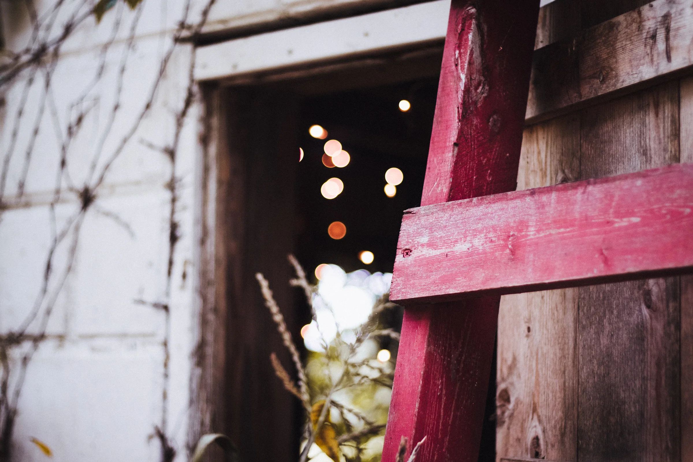 PBD Pumpkin Patch-7.jpg