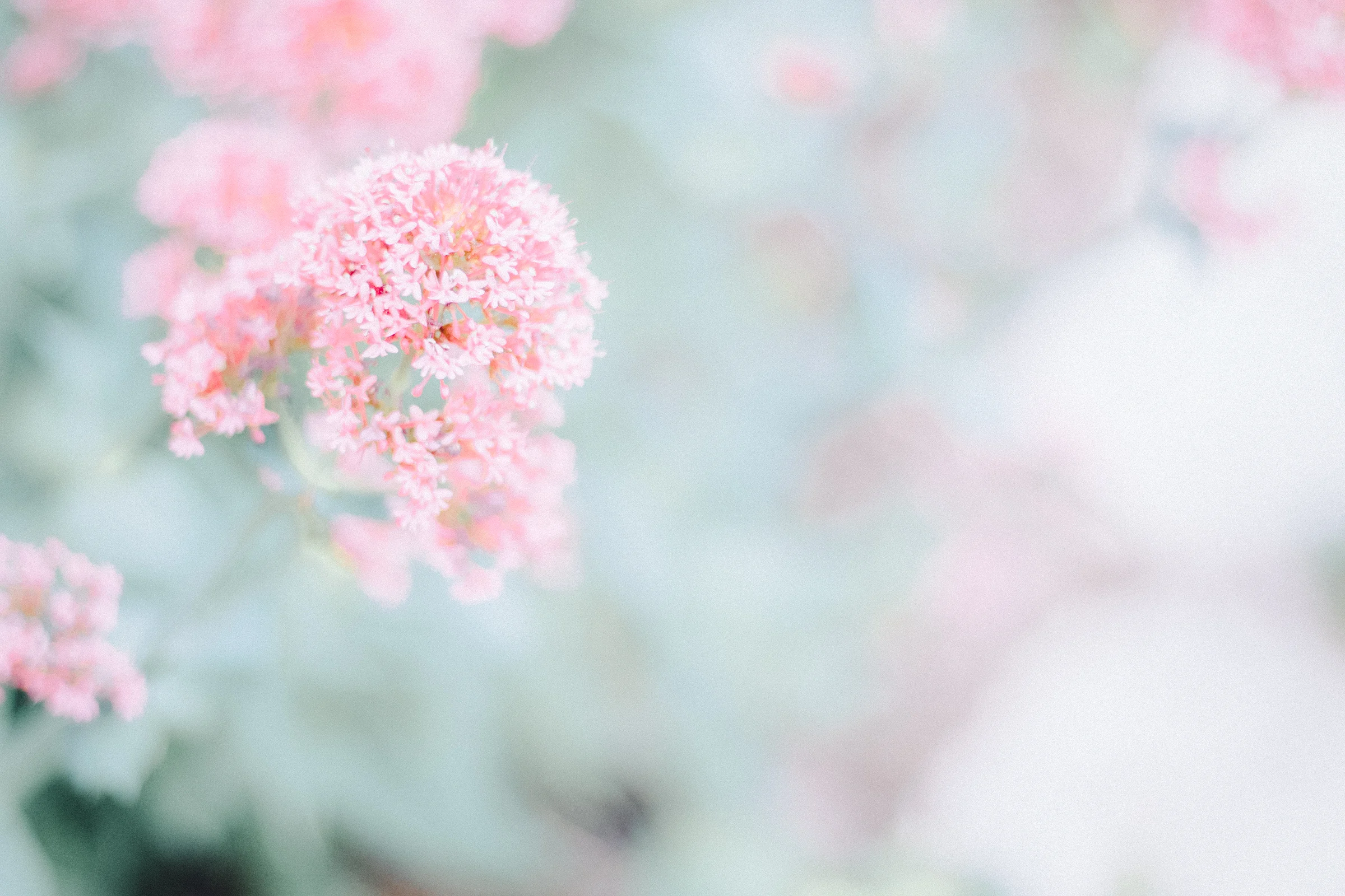 PBD-Calming-Outdoors-27.jpg