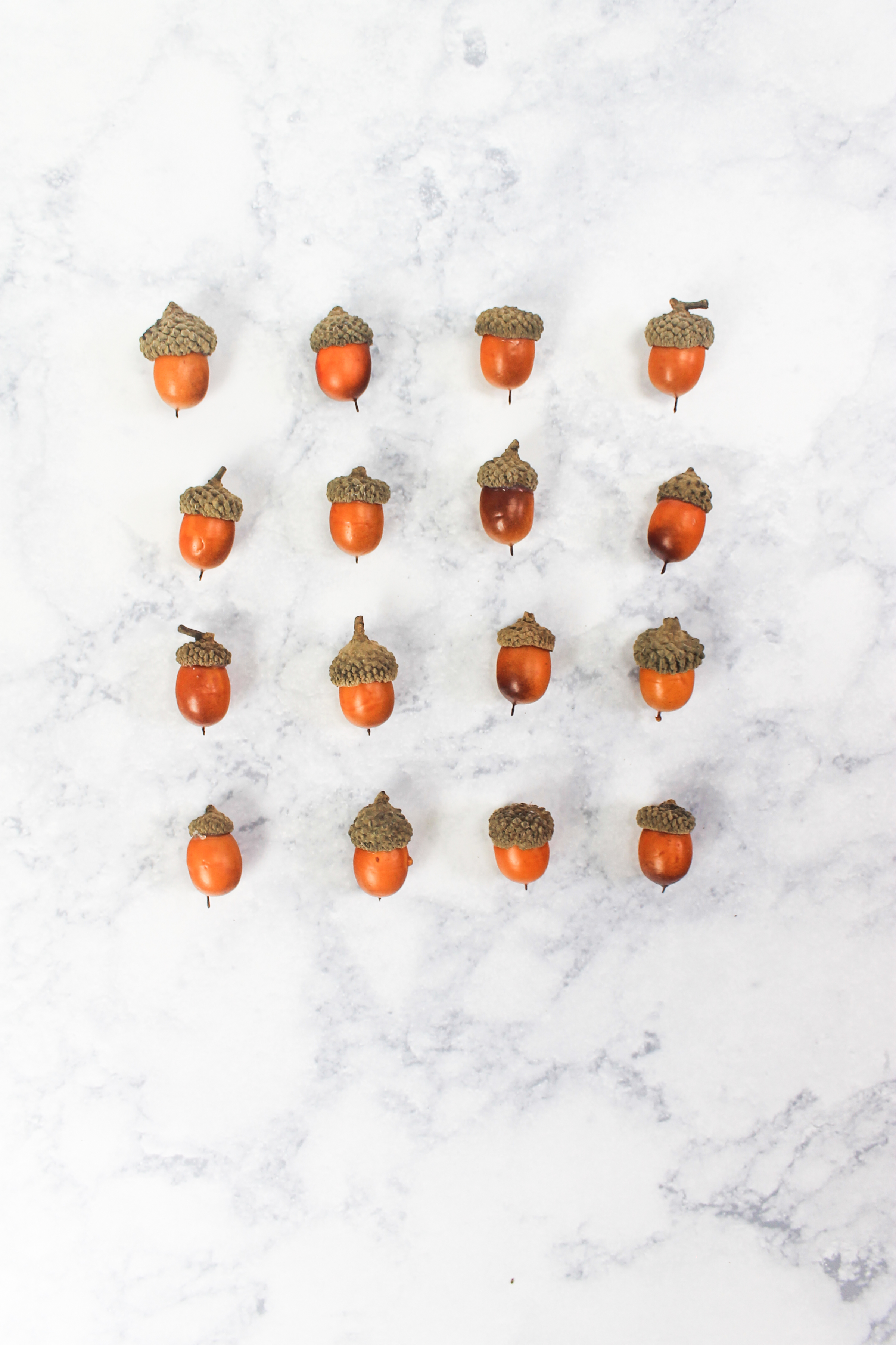 PBD crisp-autumn flatlays-8.jpg