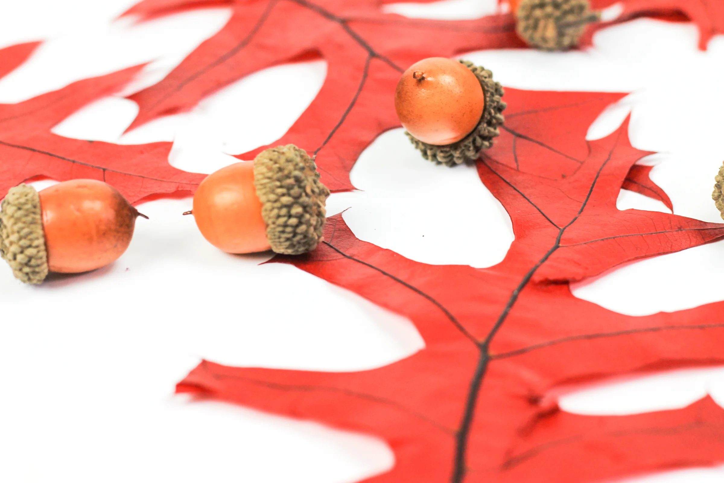 PBD crisp-autumn flatlays-13.jpg