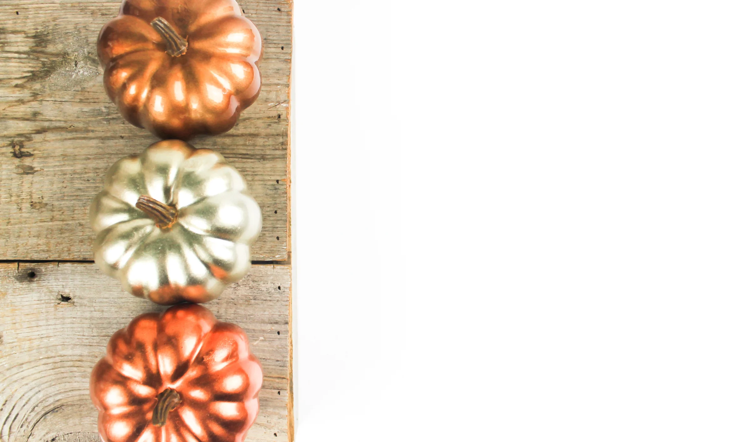 PBD crisp-autumn flatlays-15.jpg