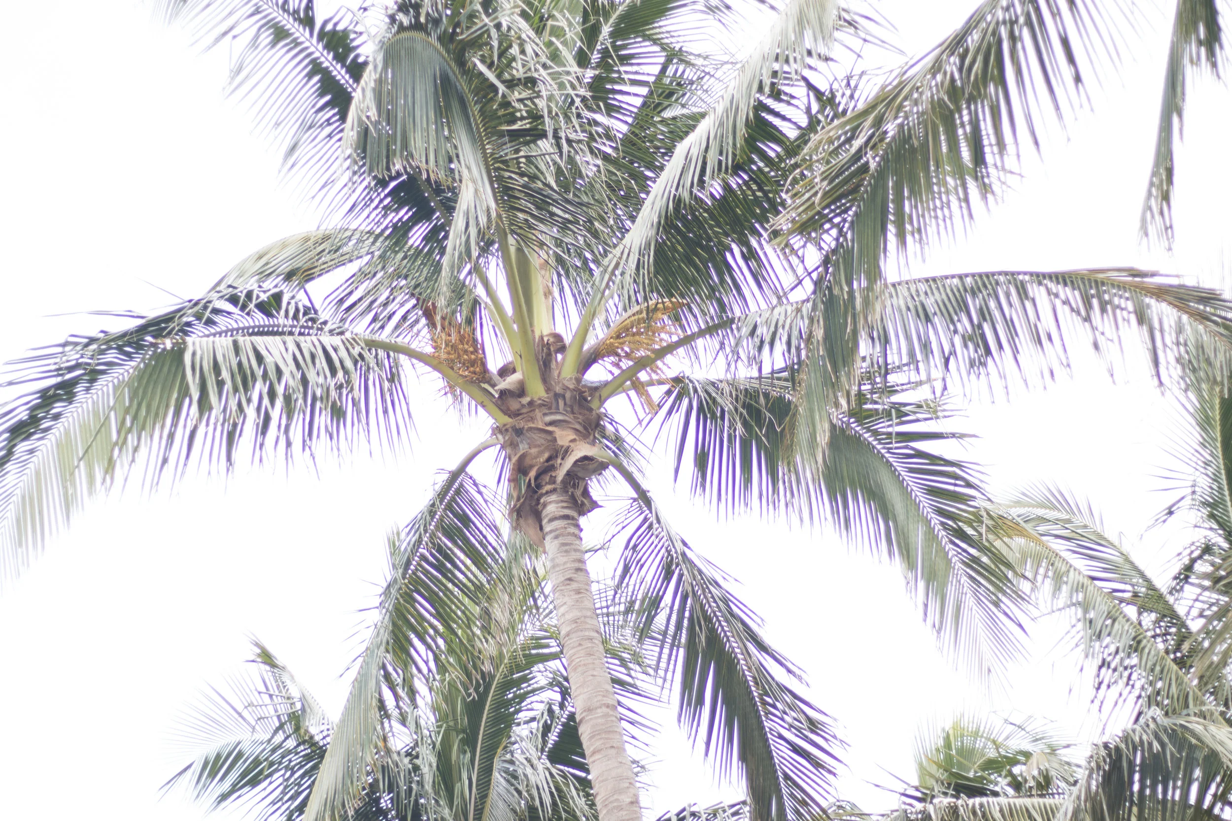 Florida-8.jpg