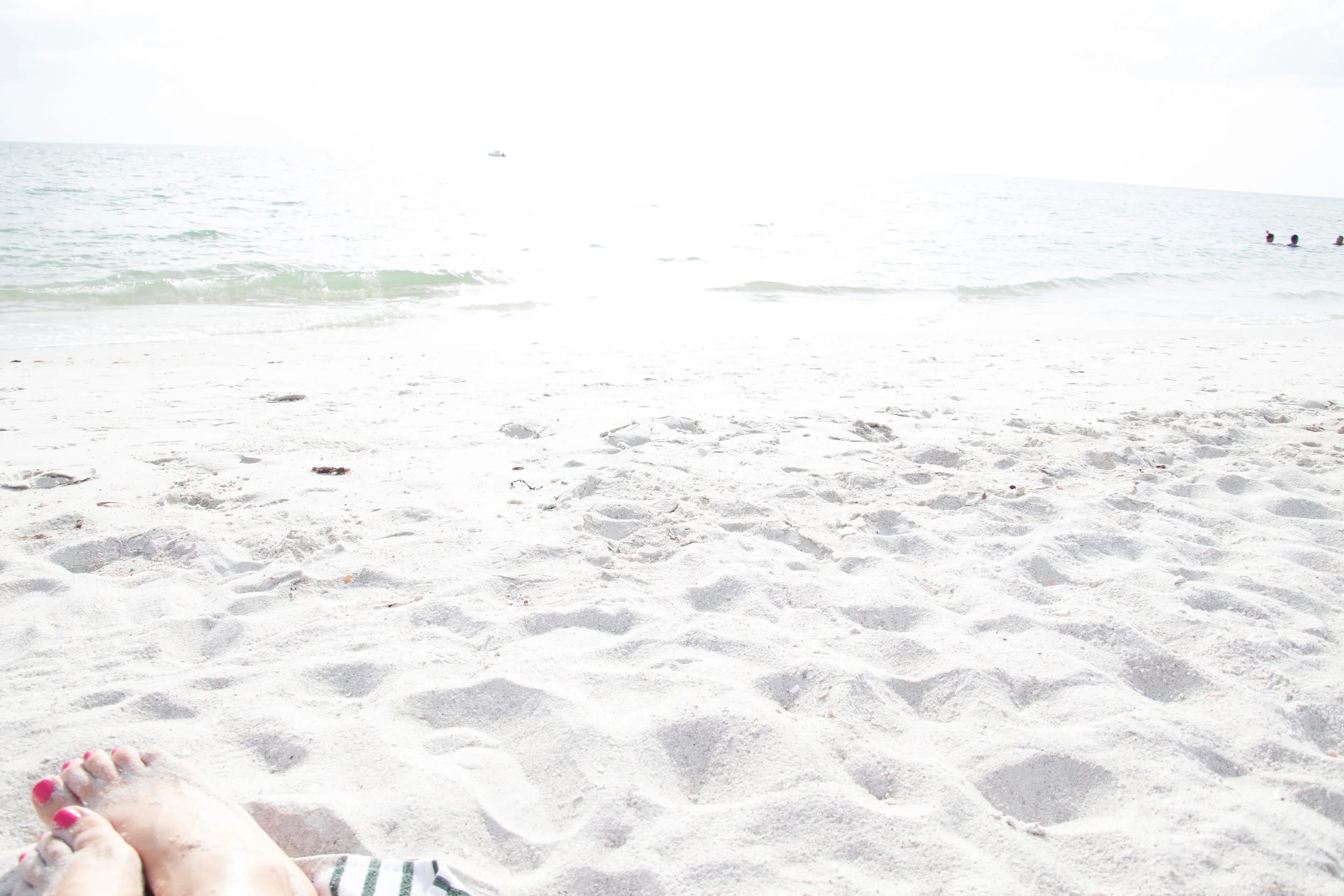 Florida-139.jpg