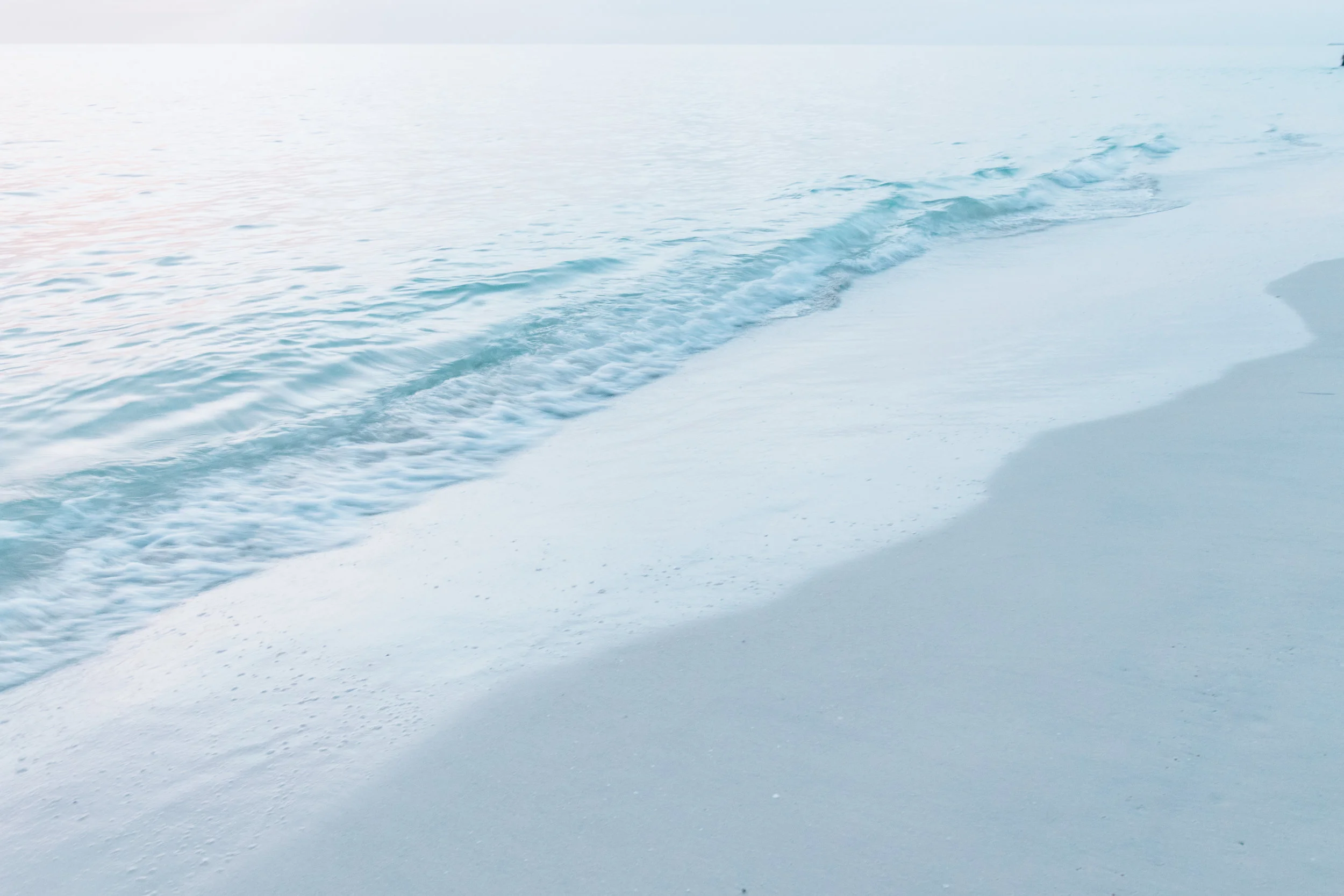 Florida-180.jpg
