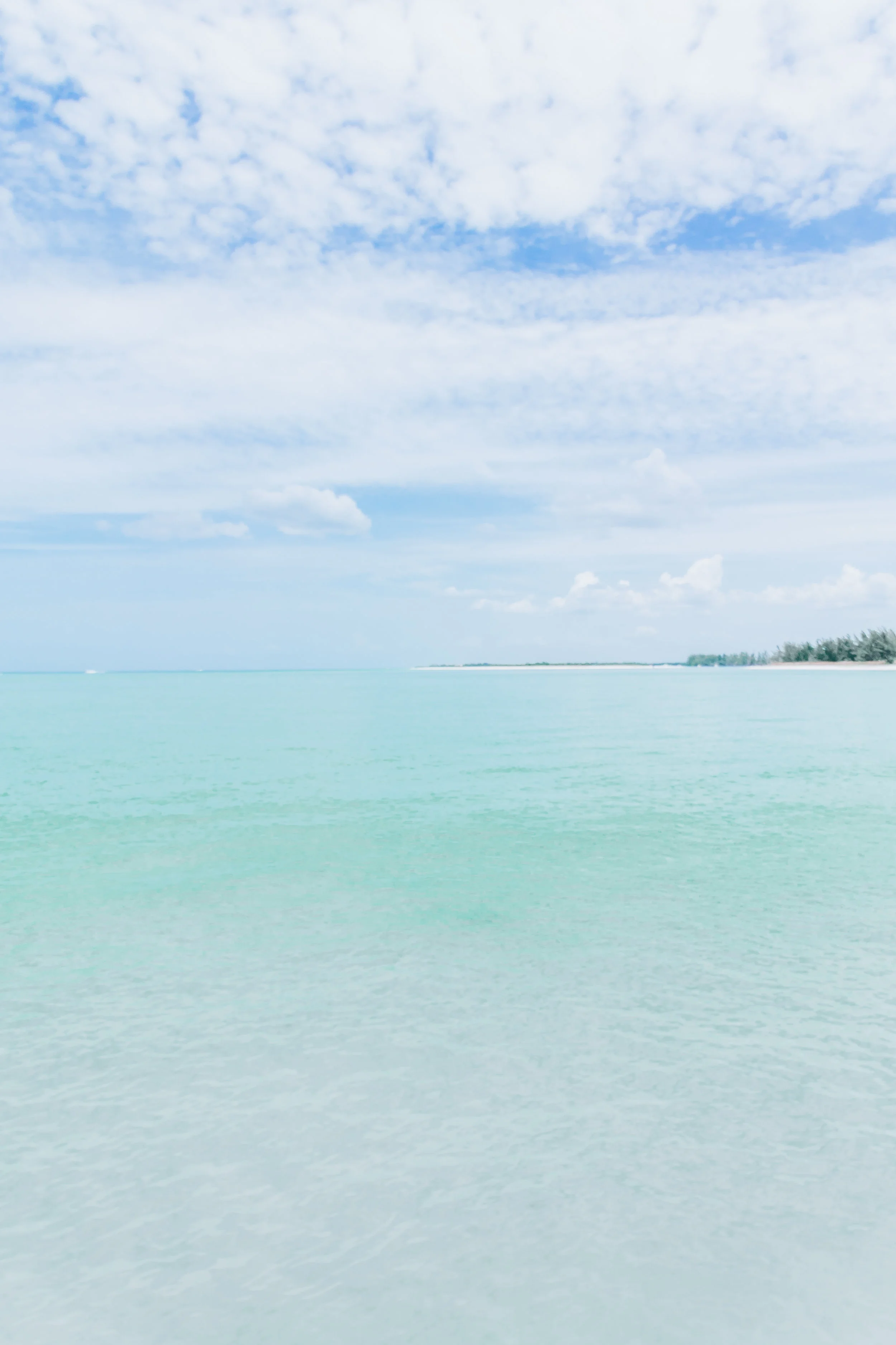 Florida-215.jpg