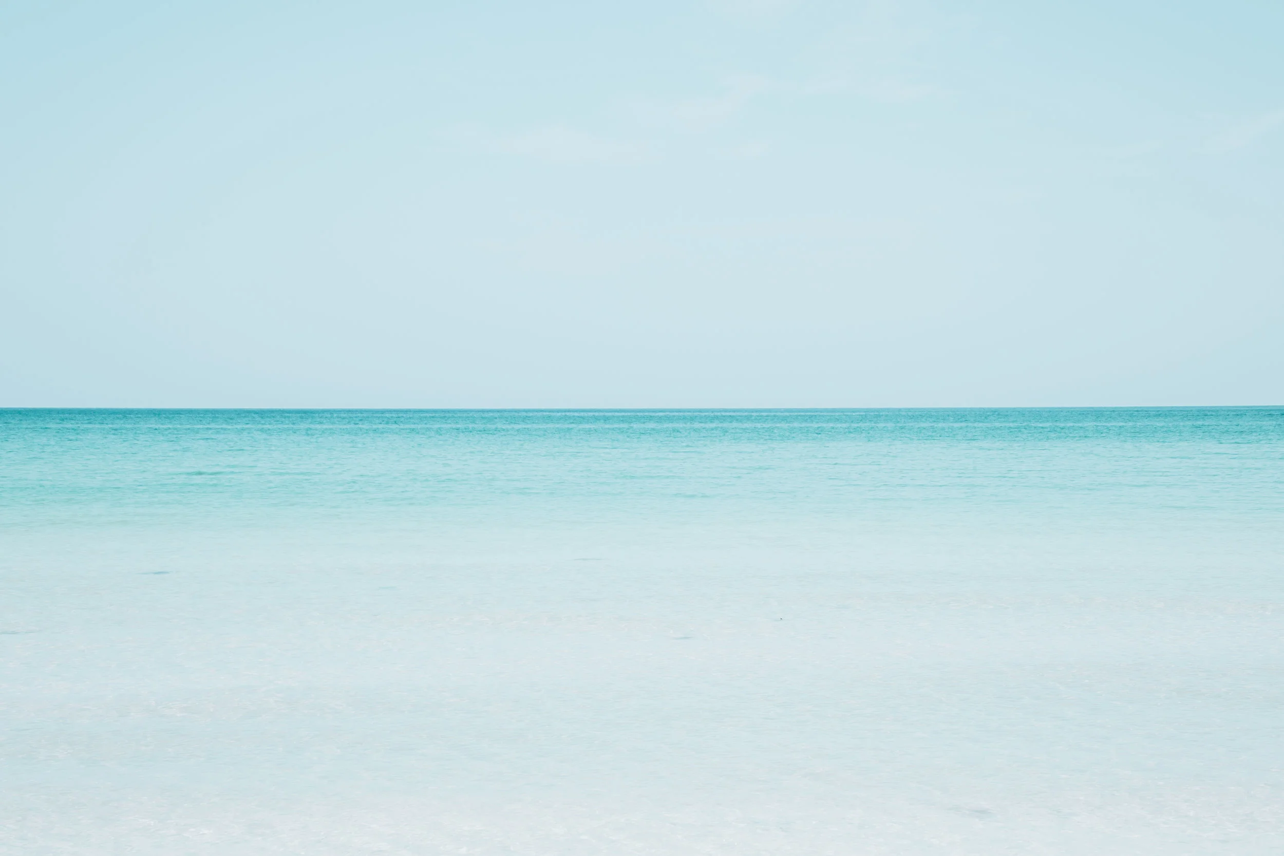Florida-249.jpg