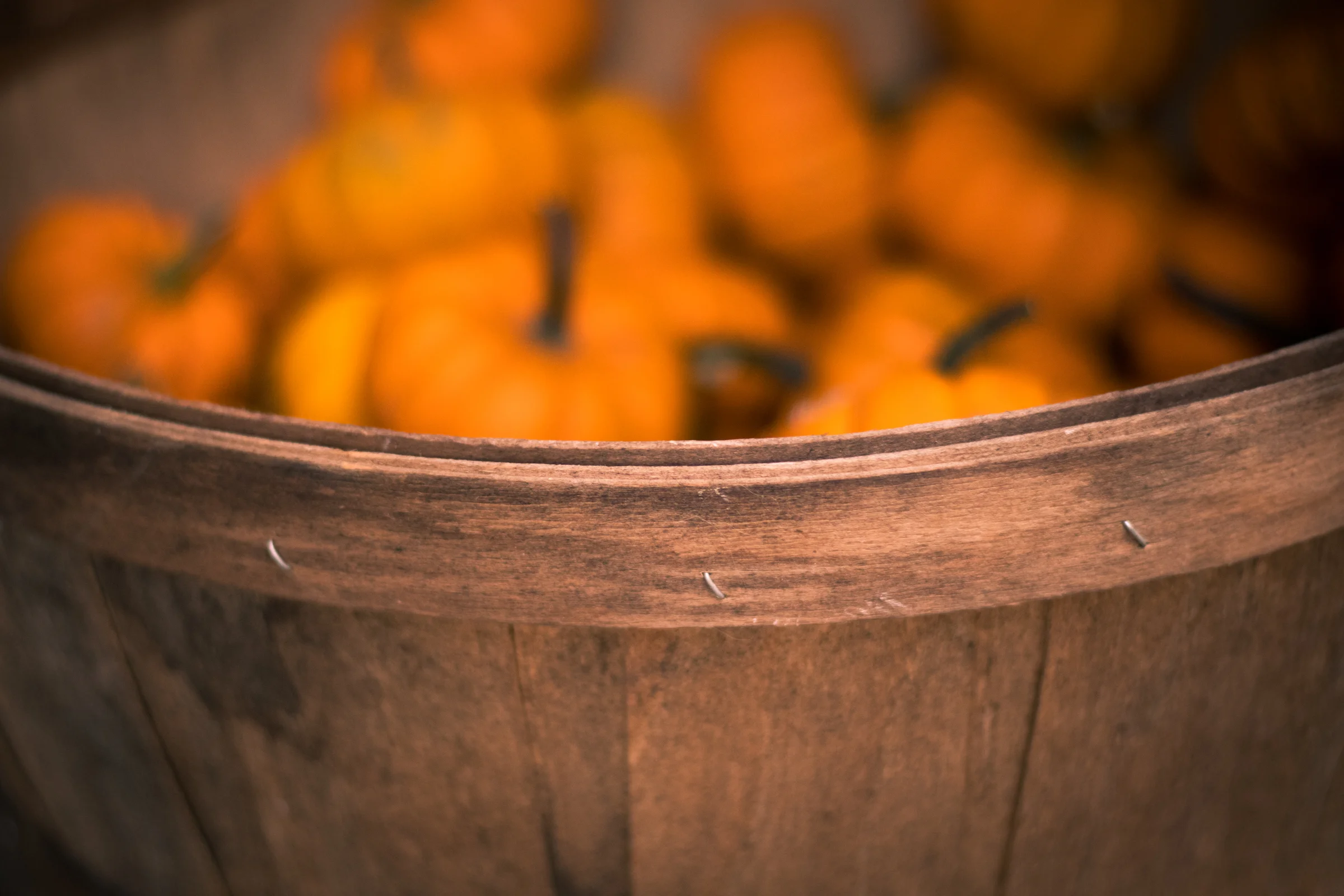 PBD Pumpkins and Gourds-5.jpg