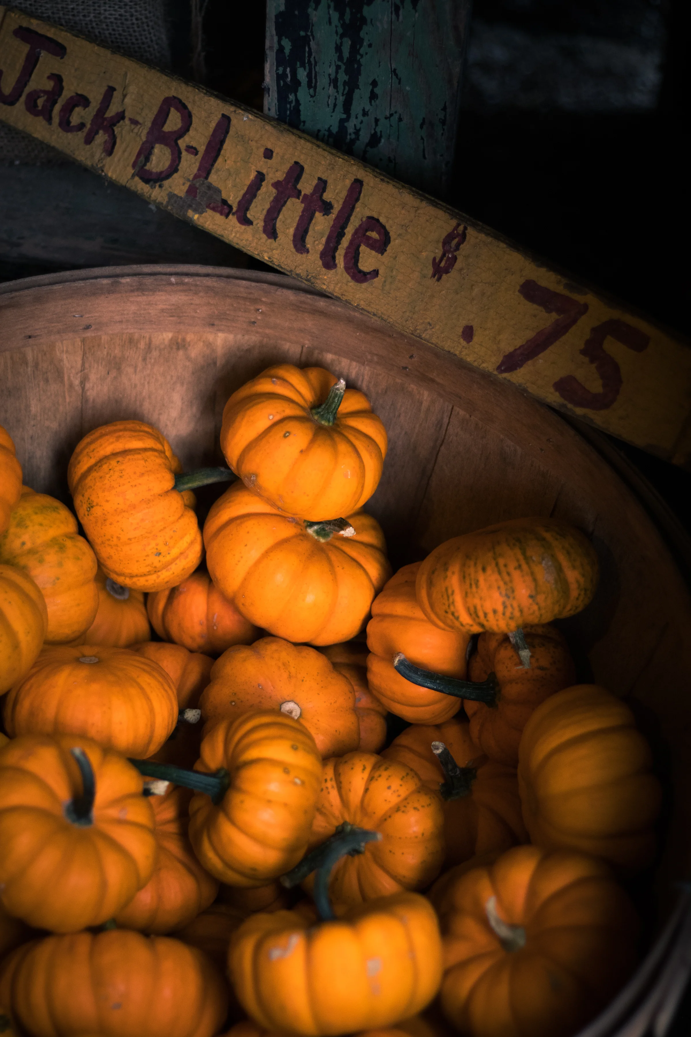 PBD Pumpkins and Gourds-9.jpg