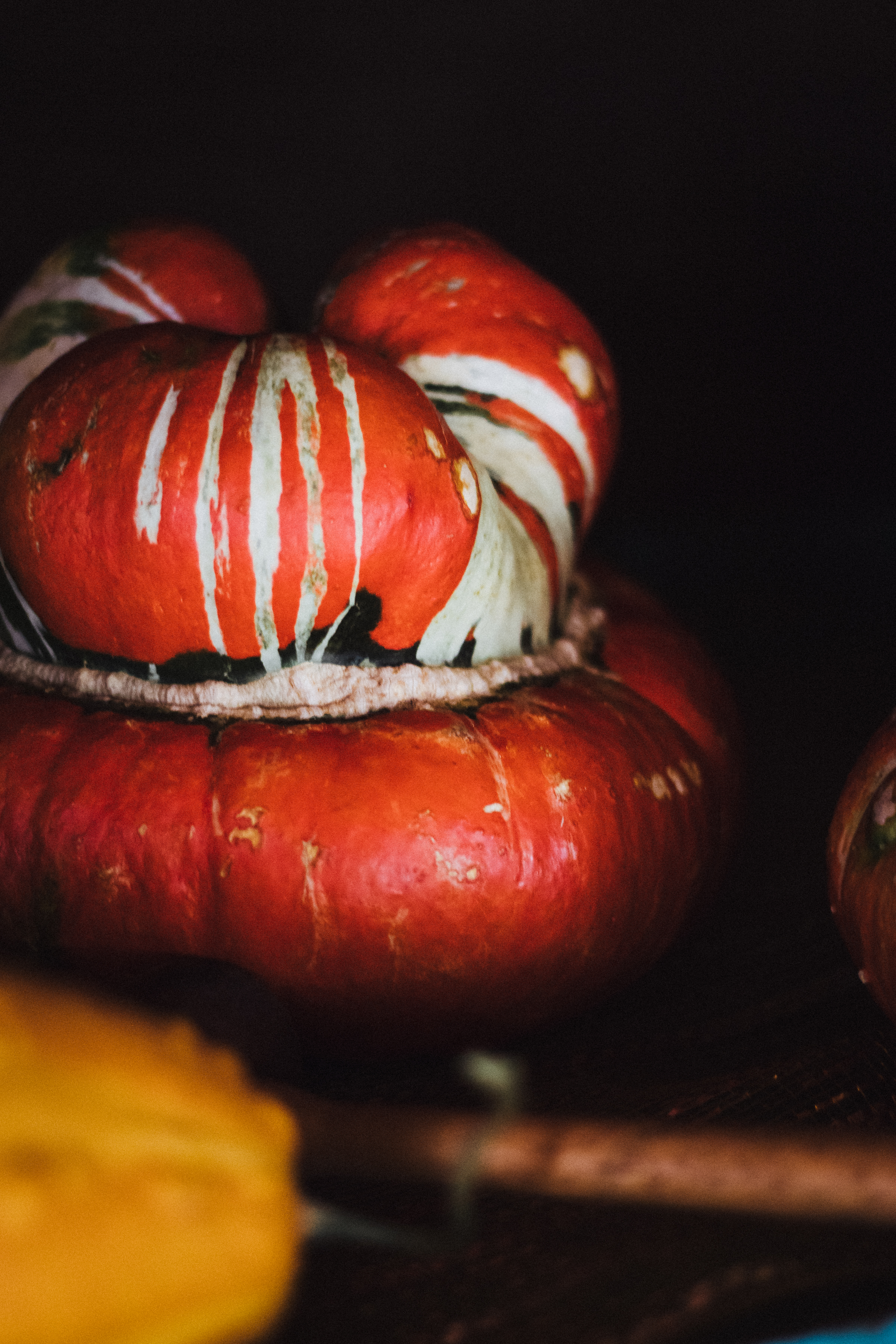 PBD Pumpkins and Gourds-22.jpg