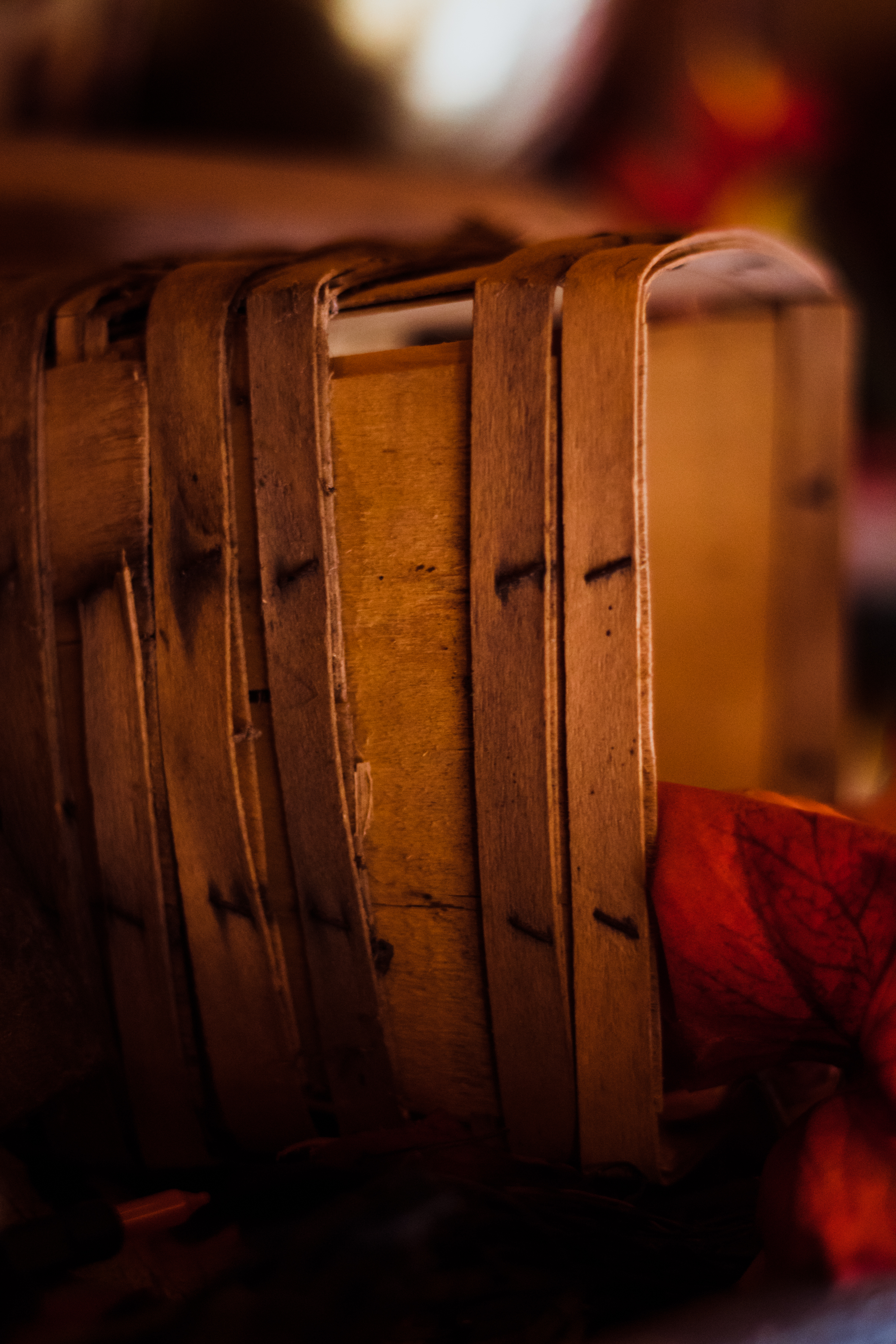 PBD Pumpkins and Gourds-27.jpg