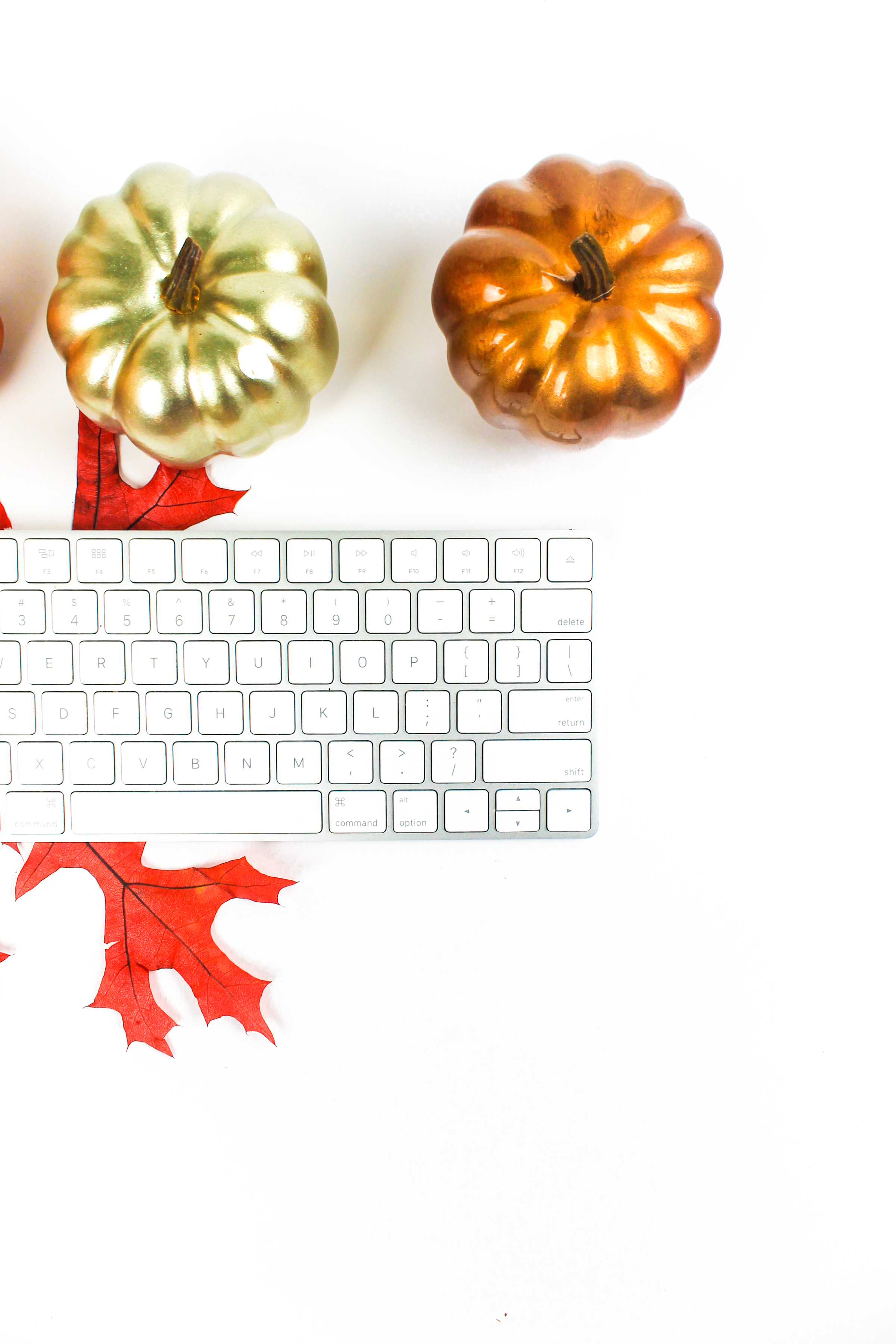 PBD-Pumpkins and Coffee-7.jpg