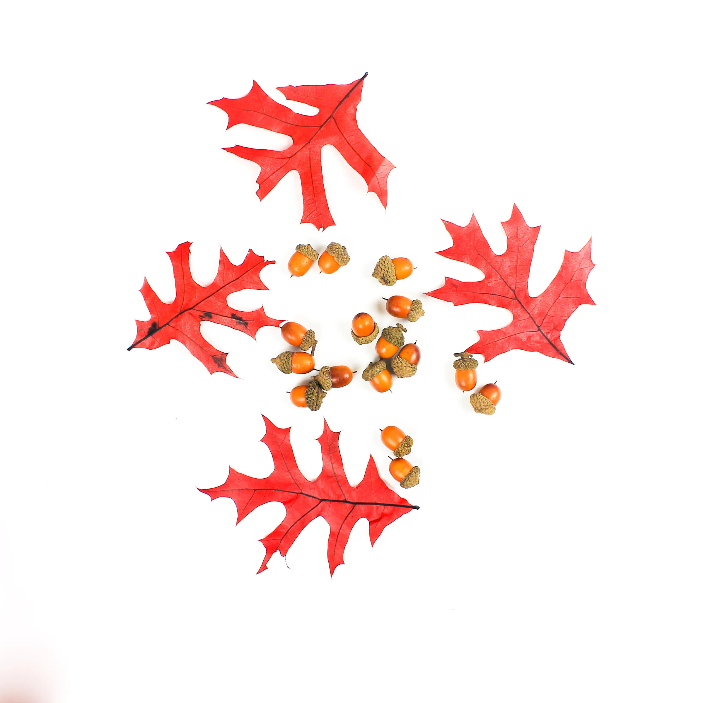 PBD-Pumpkins and Coffee-23.jpg