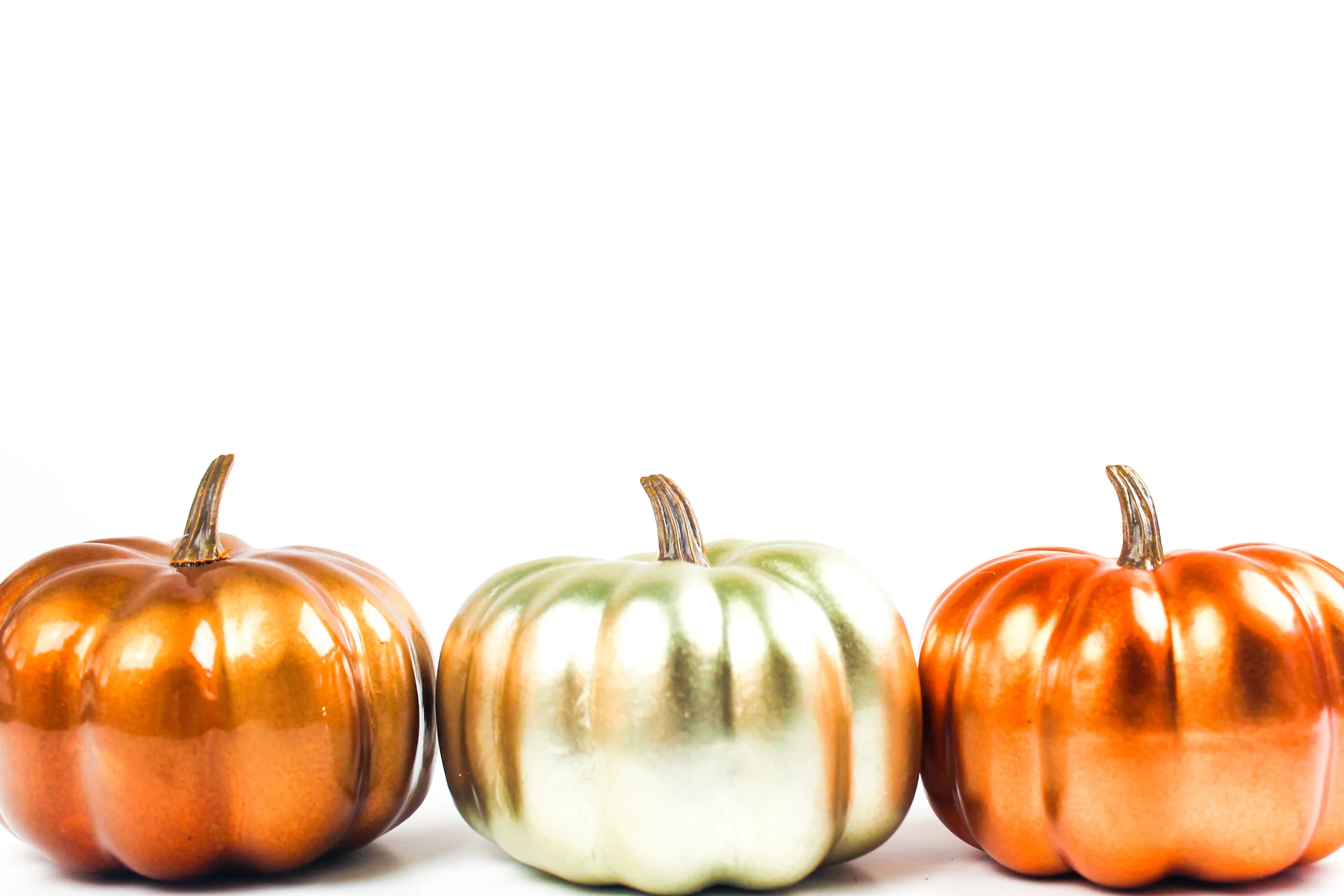 PBD-Pumpkins and Coffee-27.jpg