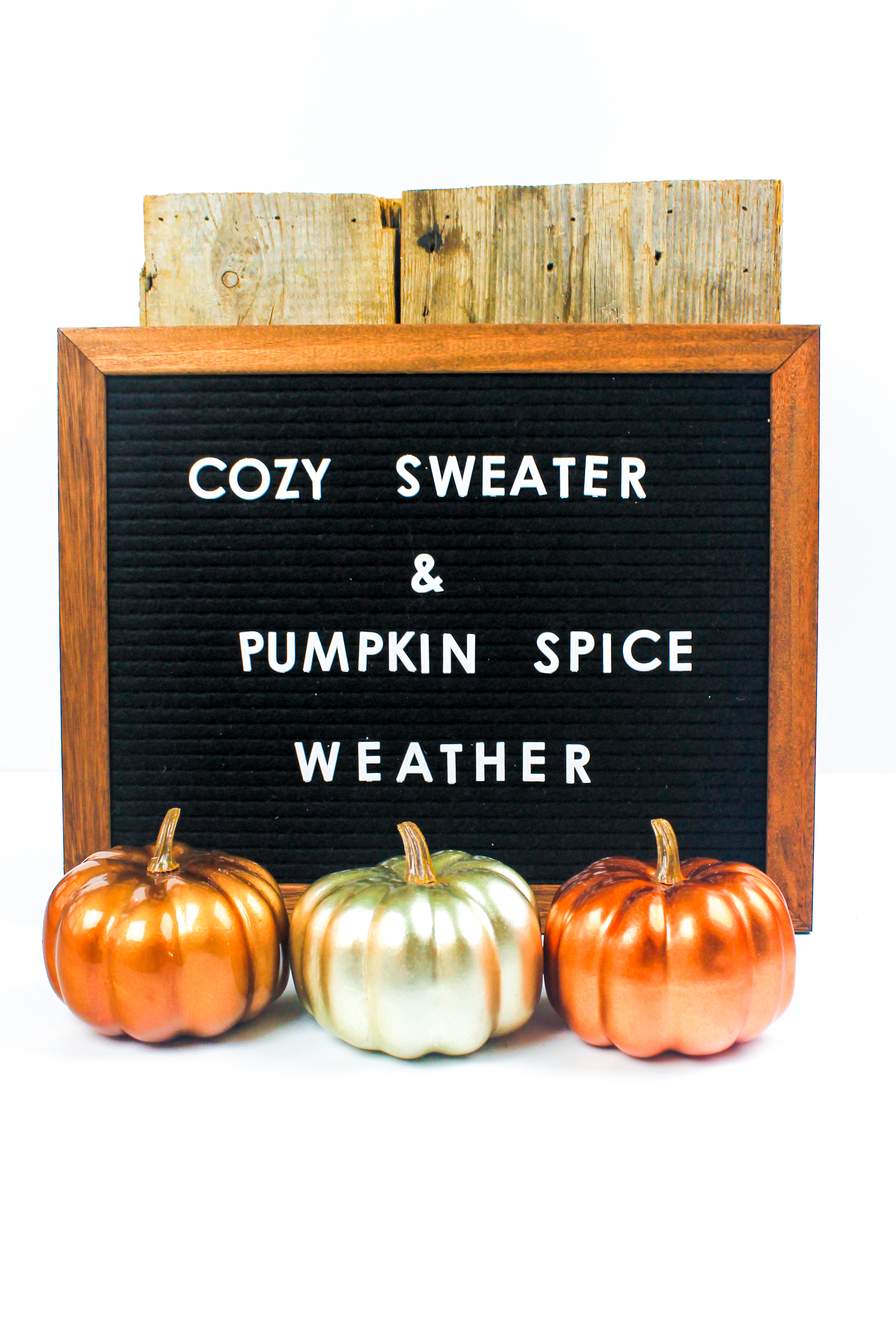 PBD-Pumpkins and Coffee-28.jpg