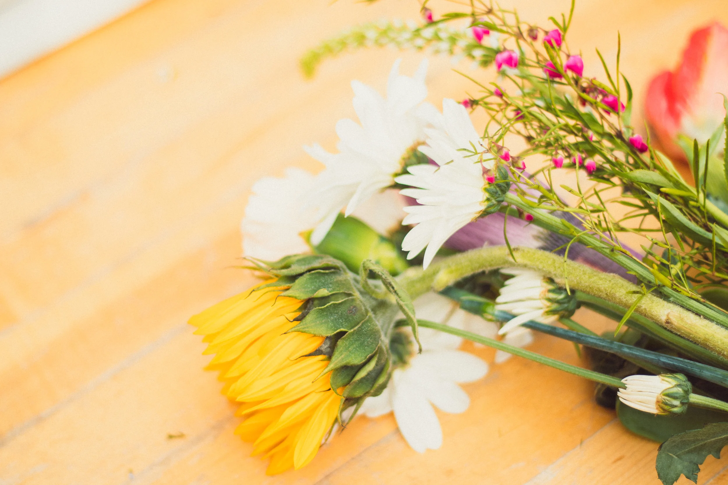 PBD Flower Truck-21.jpg