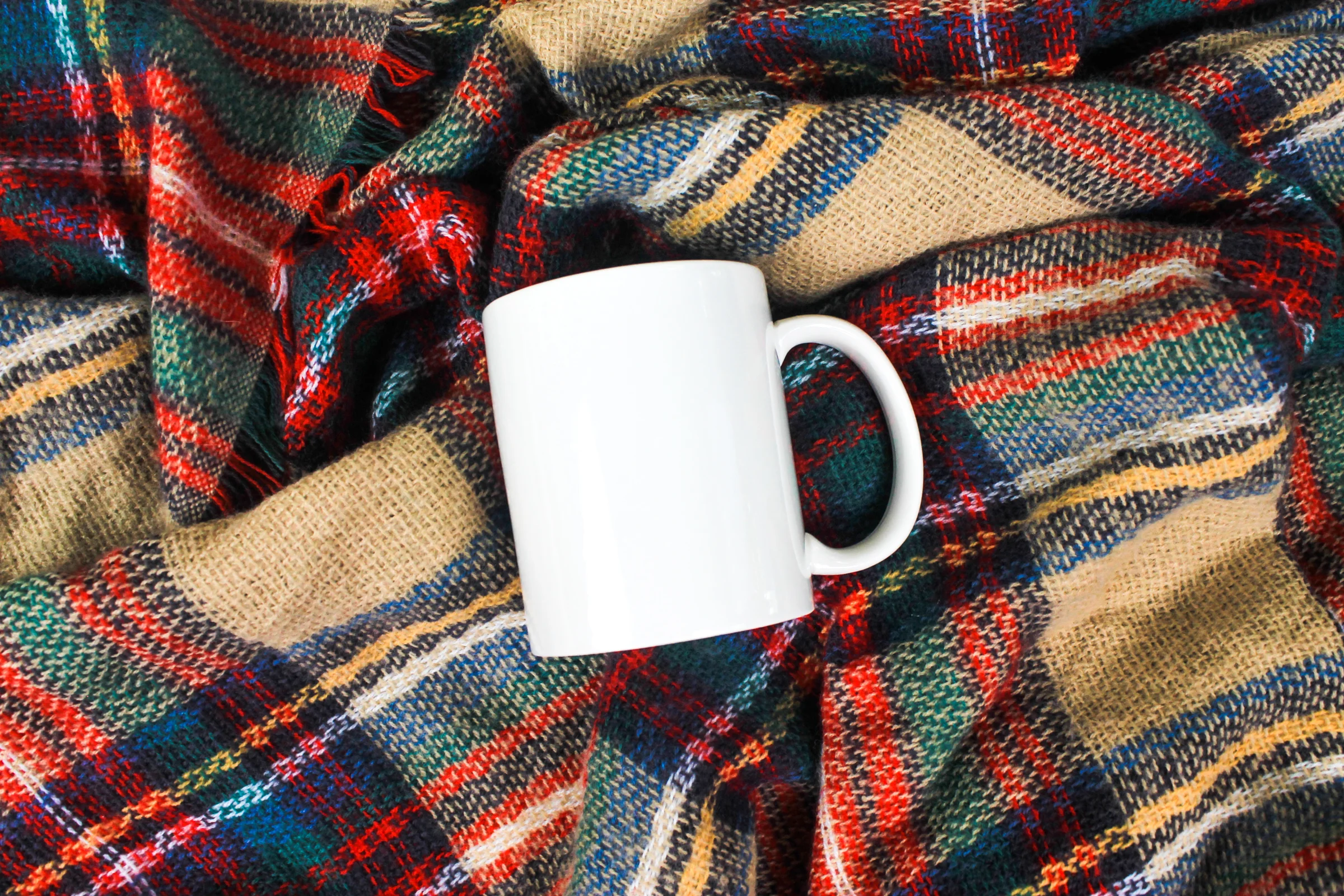 PBD Fall Mug Mock 2-6.jpg