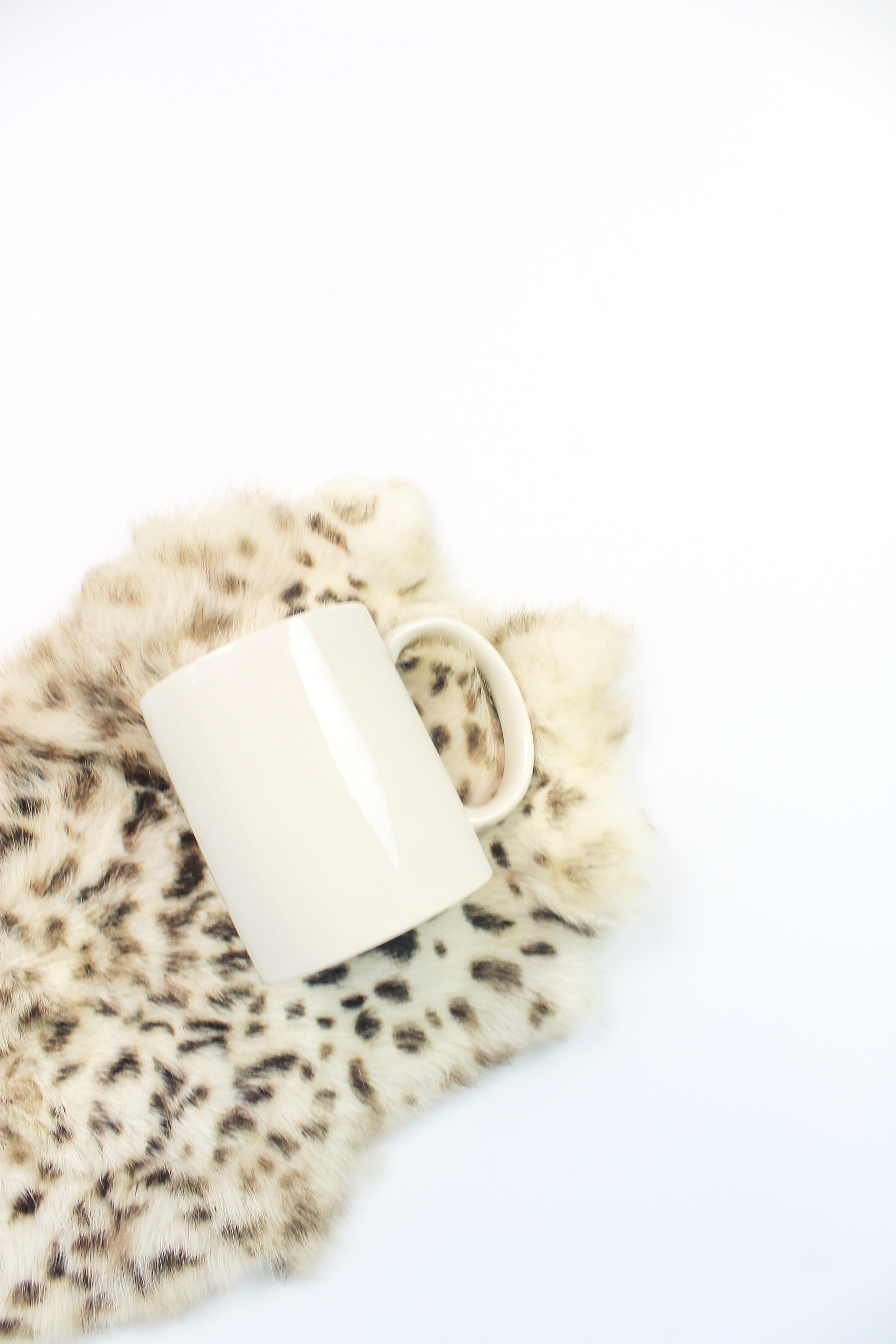 PBD Fall Mug Mock 2-9.jpg