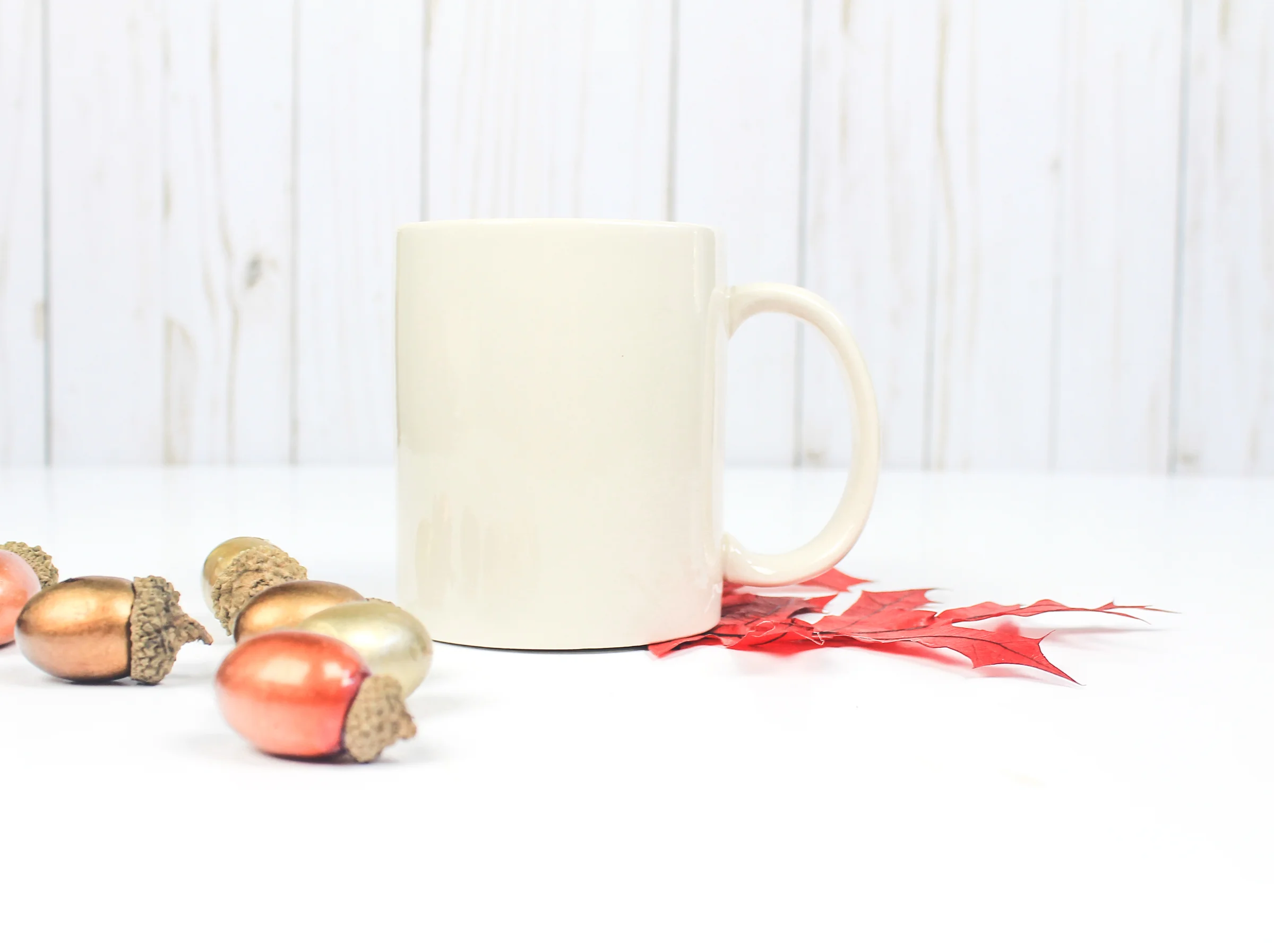 PBD Fall Mug Mock 2-14.jpg