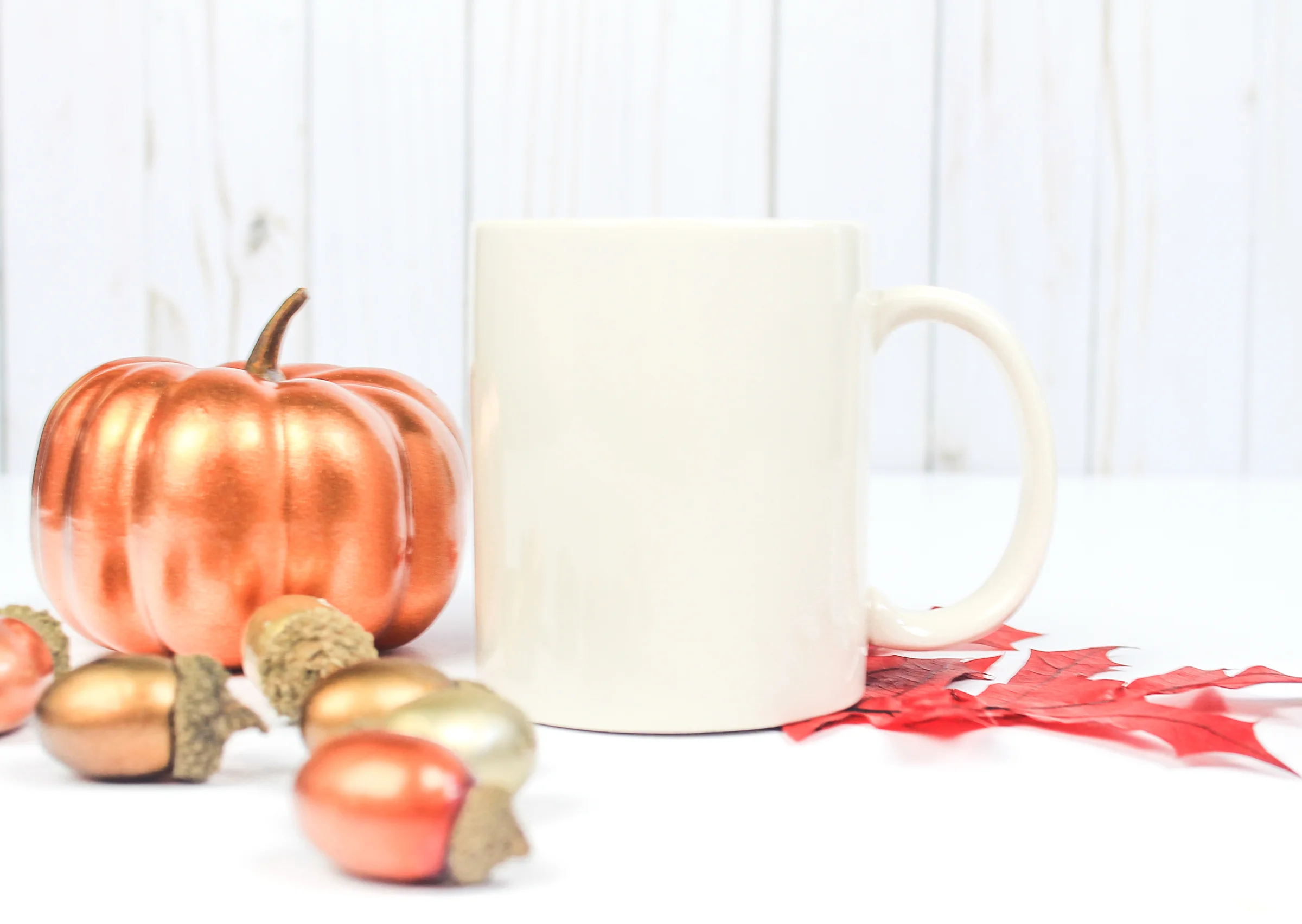 PBD Fall Mug Mock 2-15.jpg