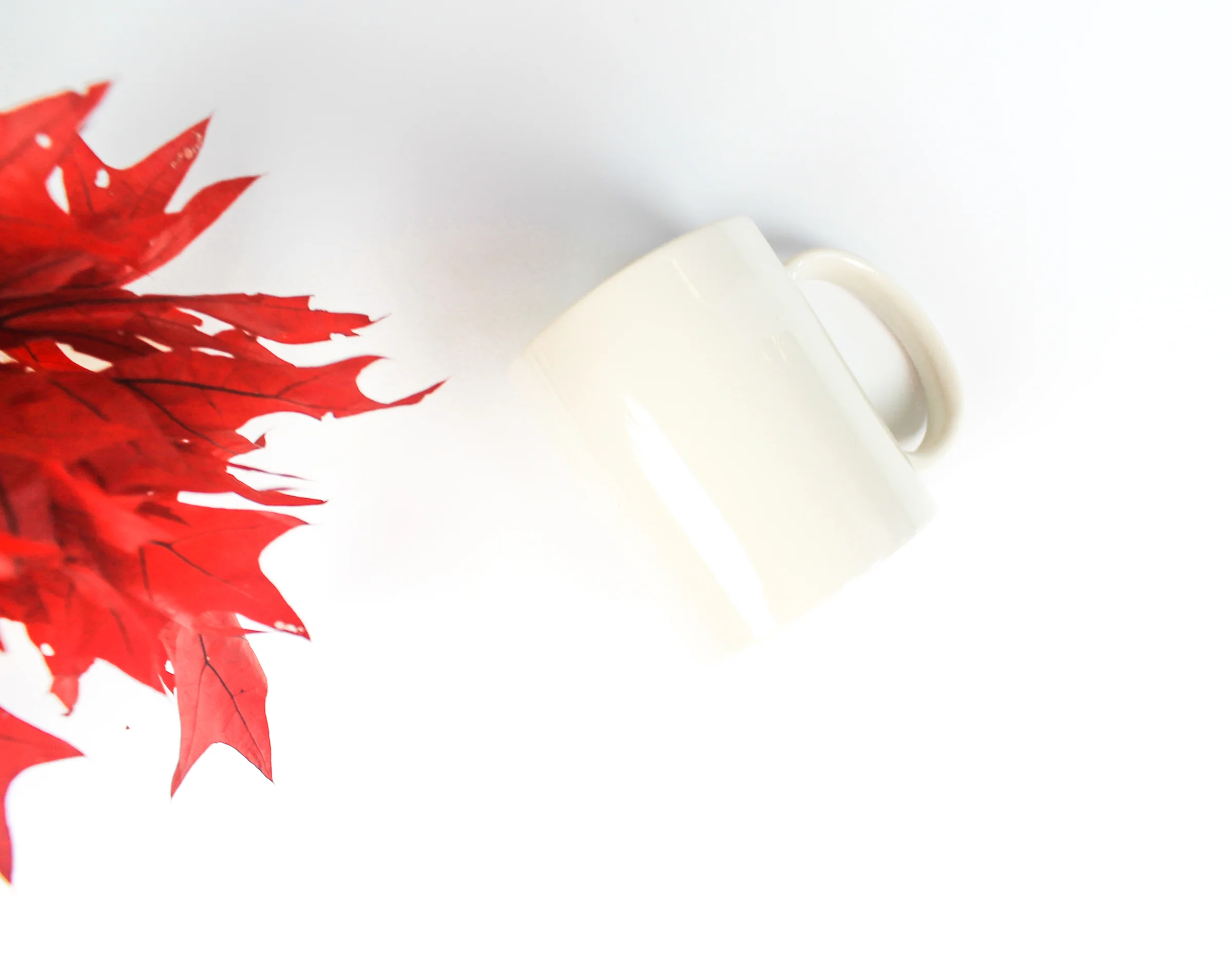 PBD Fall Mug Mock 2-21.jpg