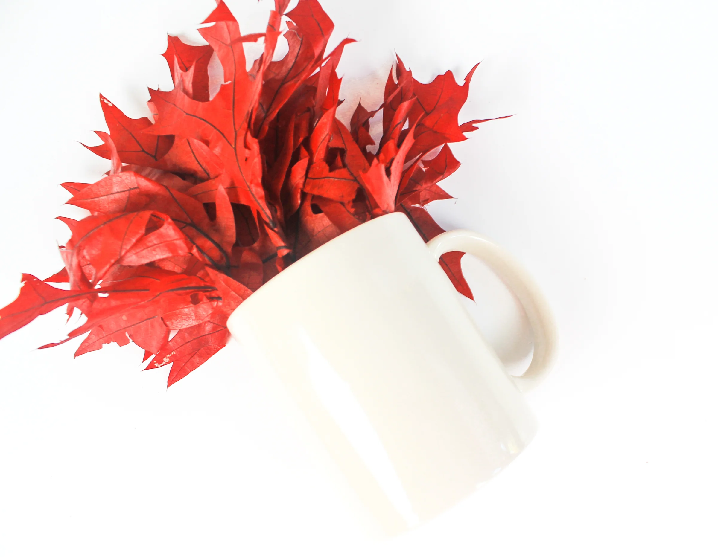PBD Fall Mug Mock 2-22.jpg