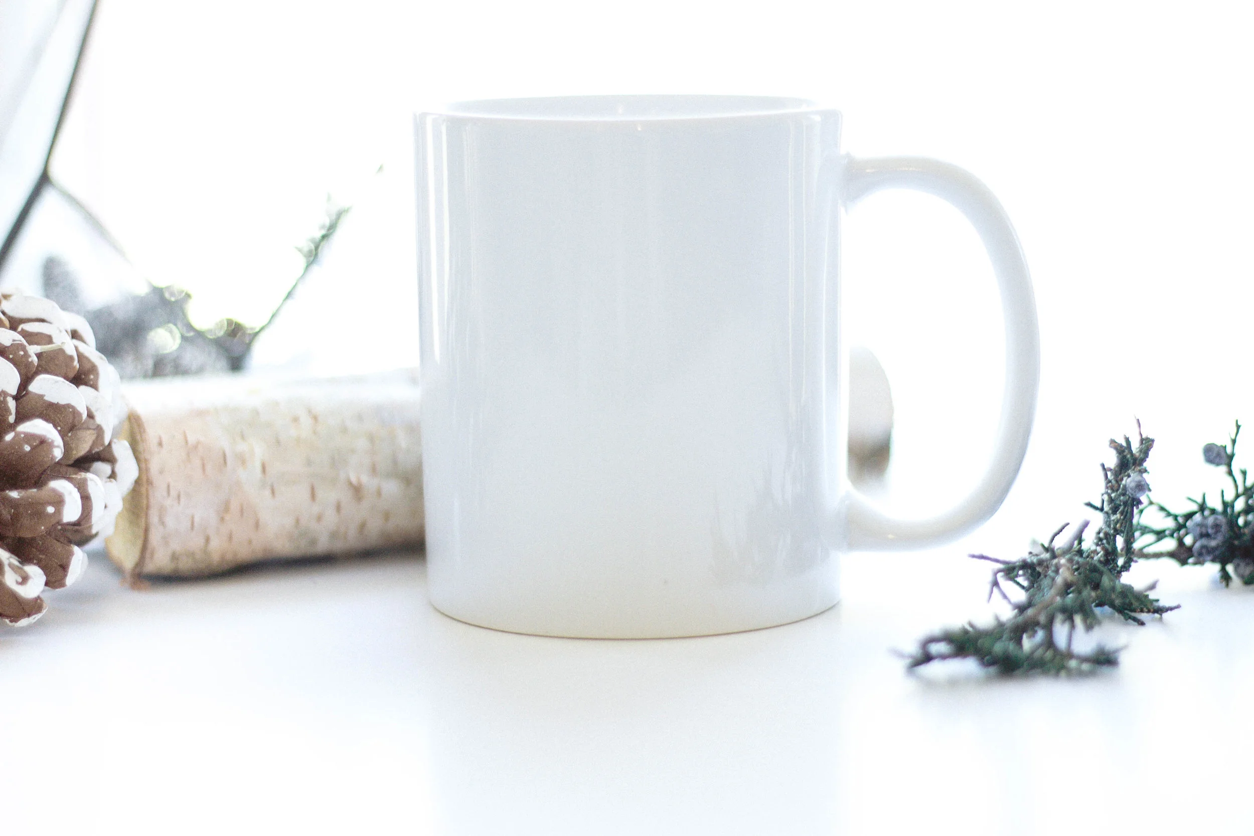 Winter-Mug-Mock-8.jpg