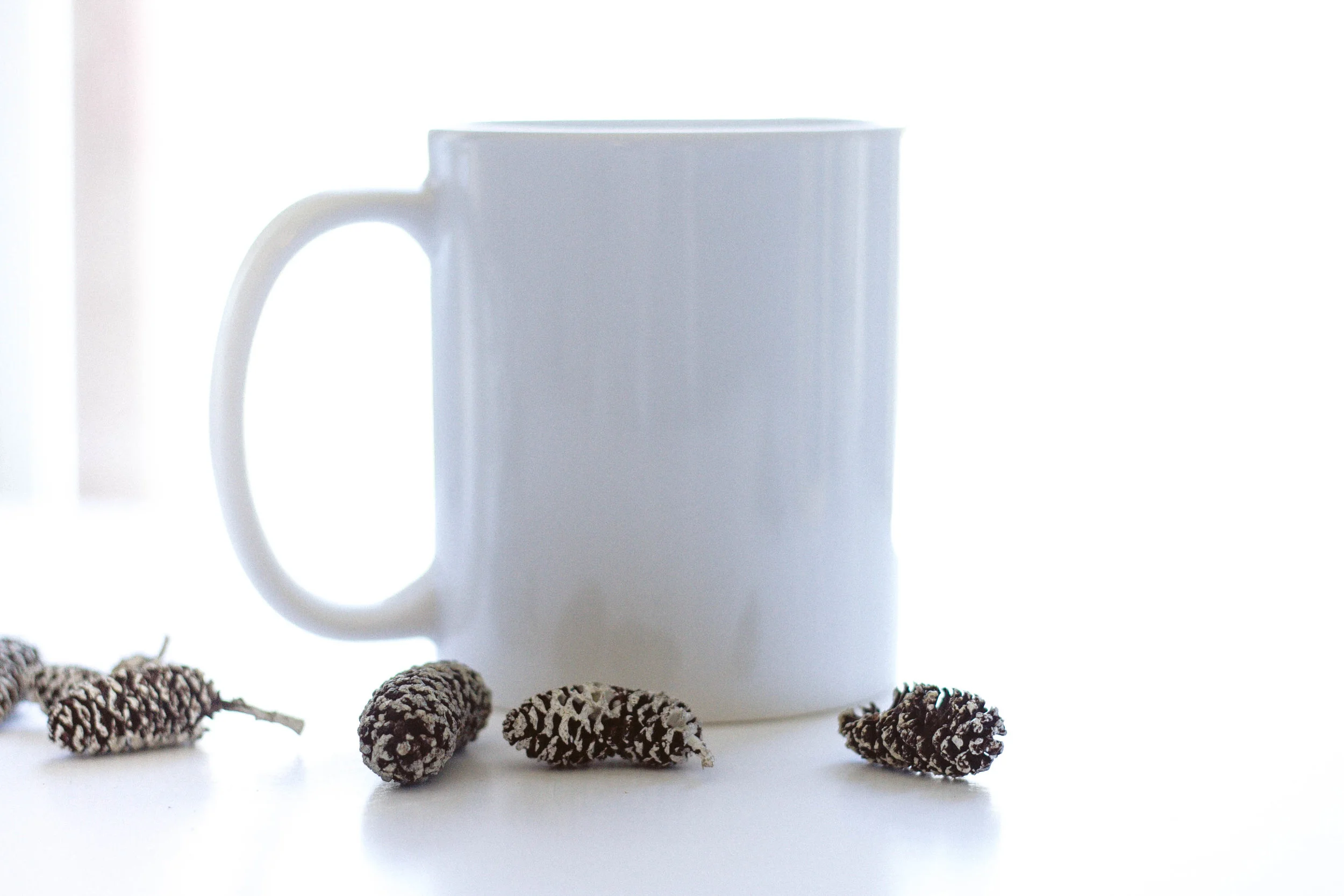 Winter-Mug-Mock-15.jpg