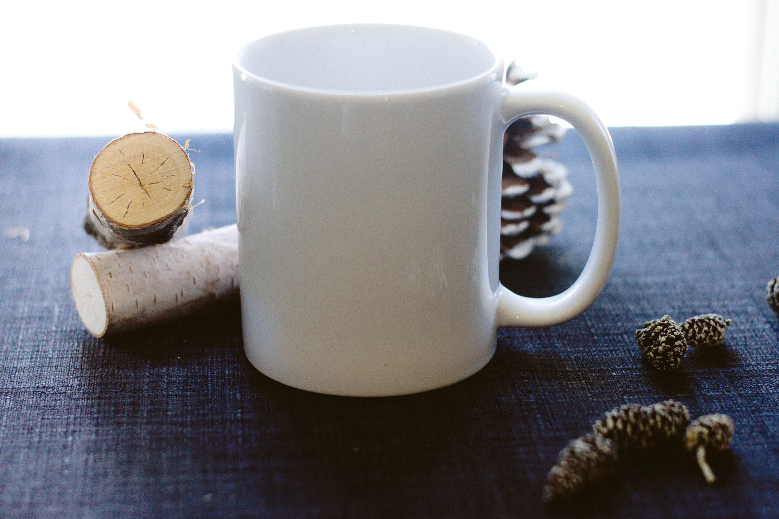 Winter-Mug-Mock-22.jpg