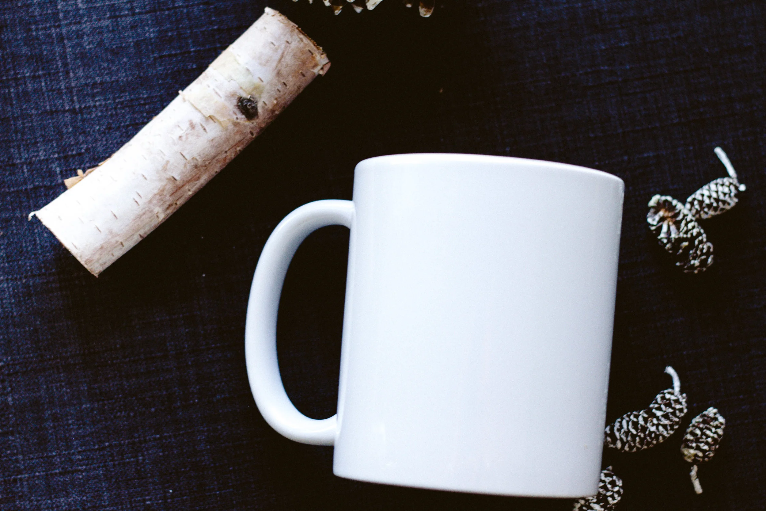 Winter-Mug-Mock-24.jpg