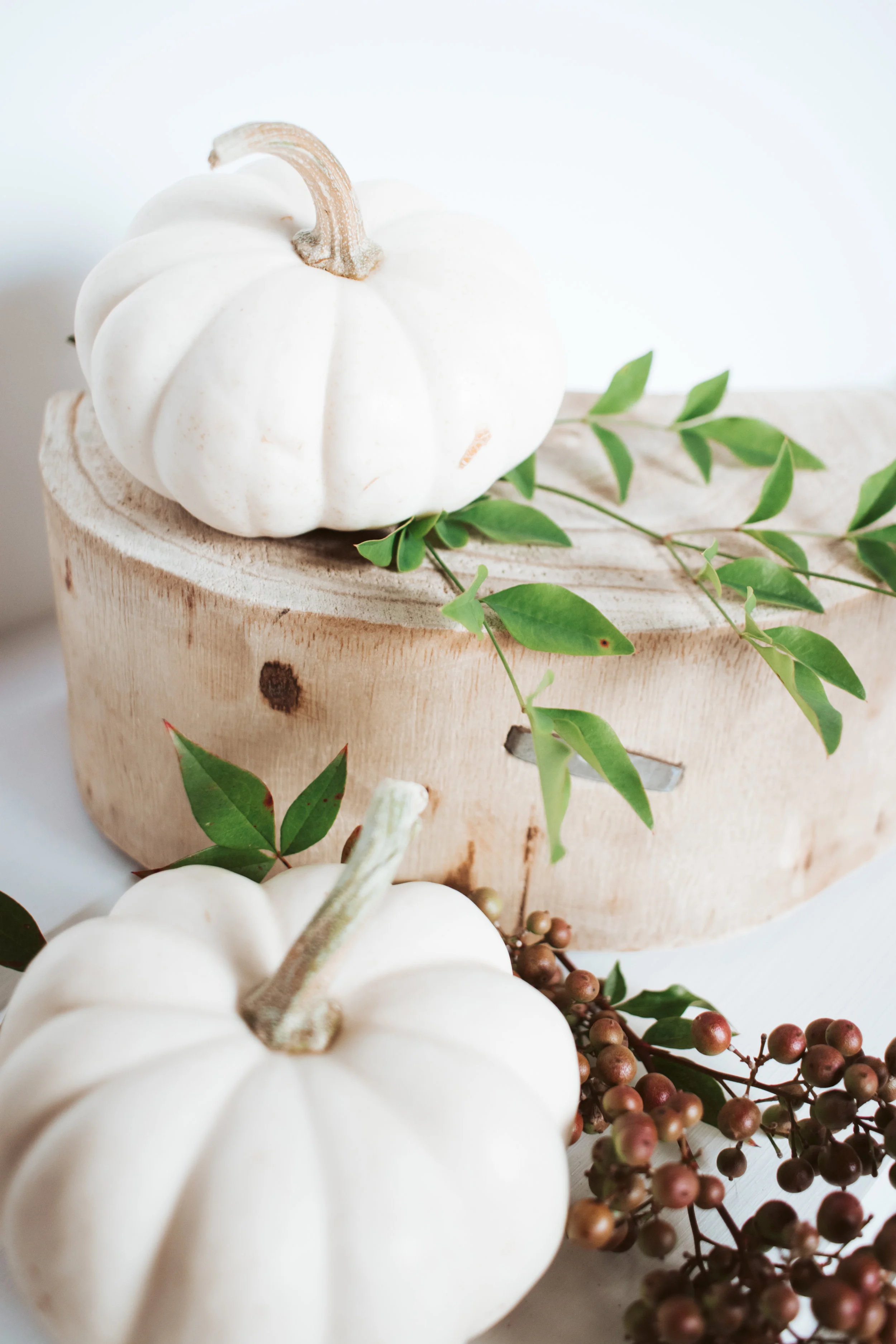 PBD Fall Farmhouse-44.jpg