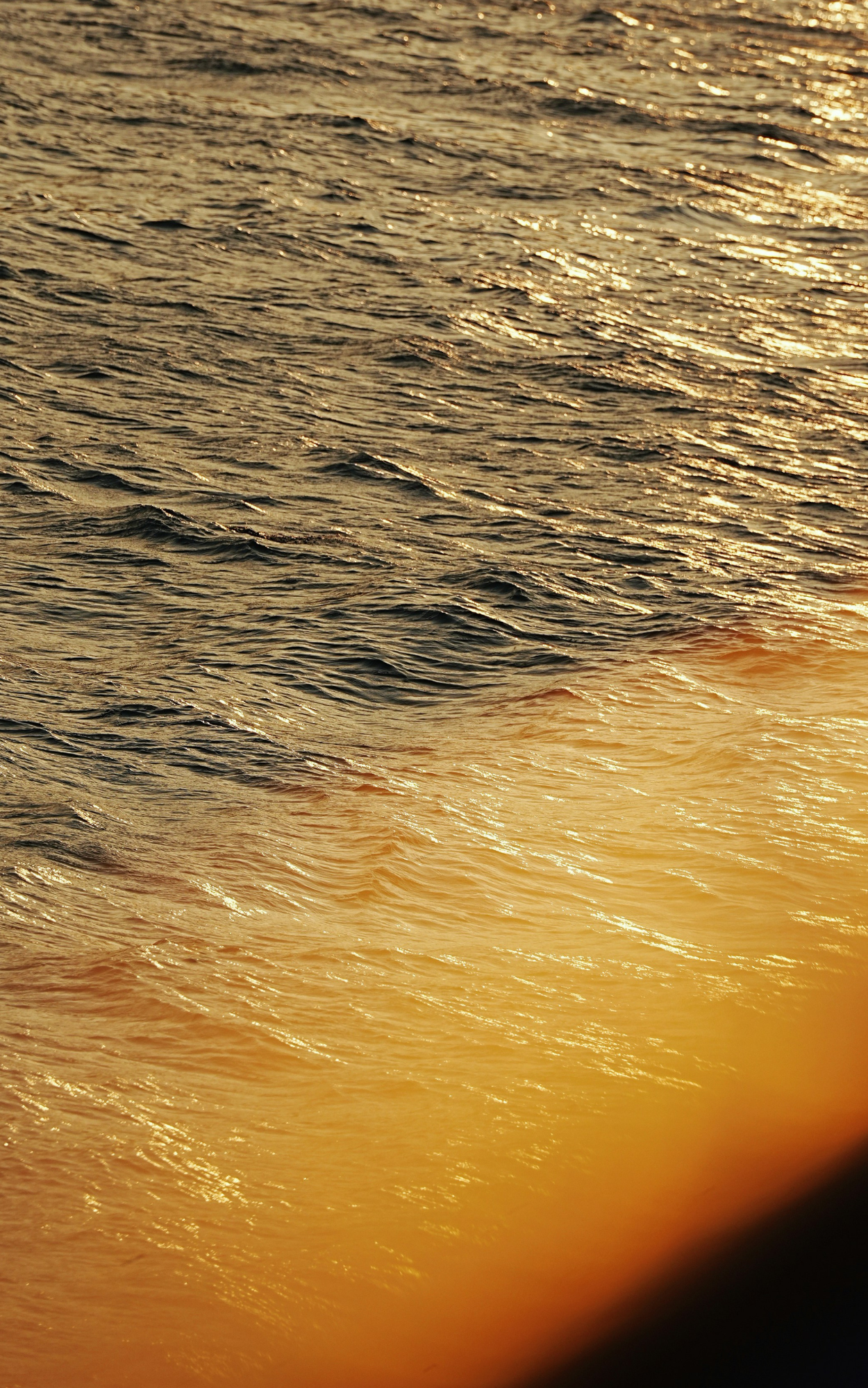 Copy of 5x8 Program—2026 Gala.png