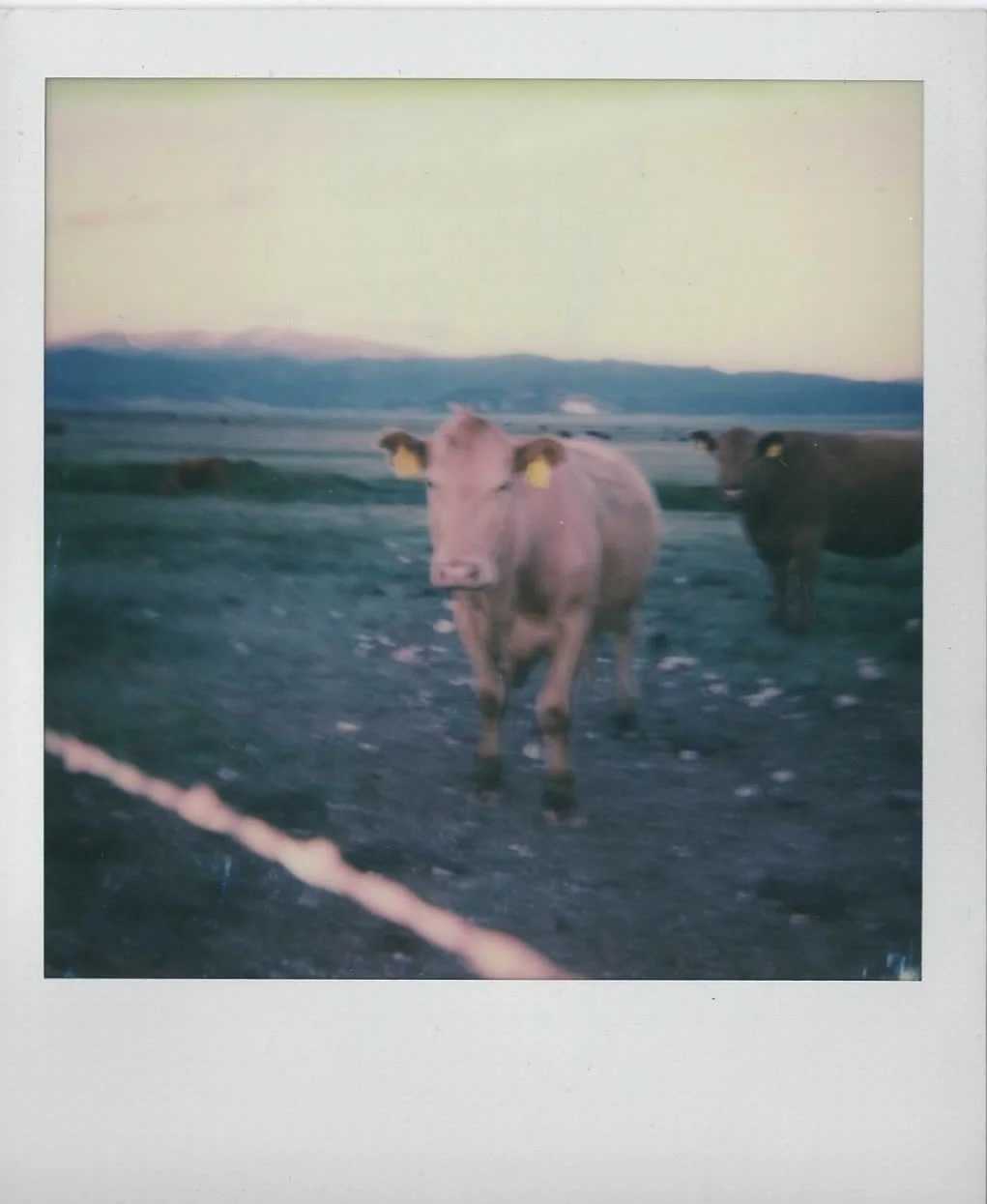 Hunewill Ranch, Ca. 2017.