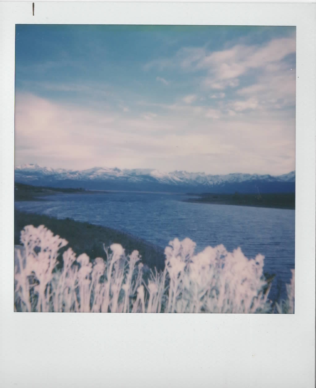 Bridgeport Resevoir, Ca. 2017.