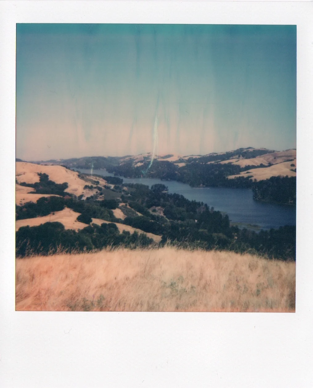 Orinda, Ca. June 2018.