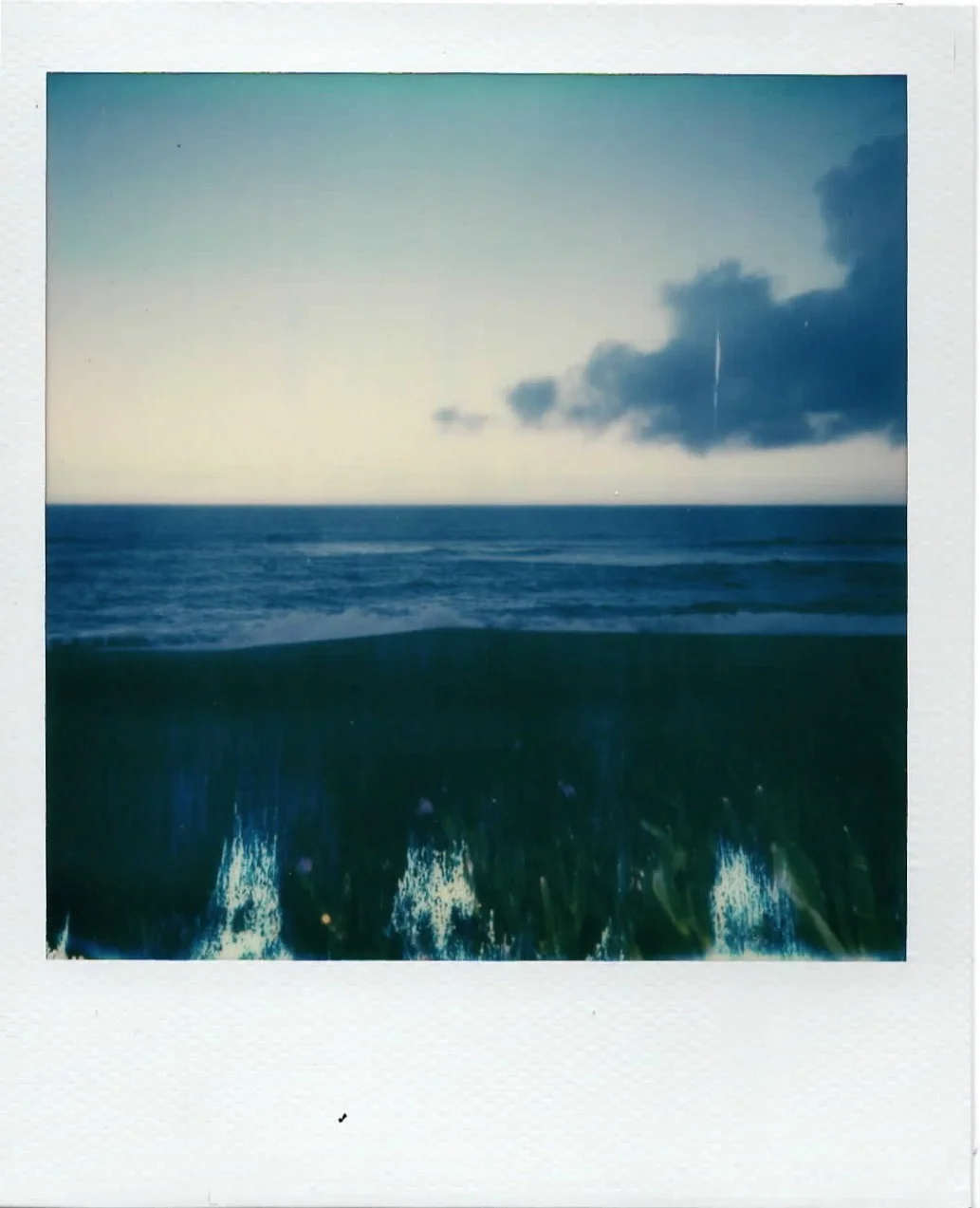 Point Reyes, Ca. March 2019.