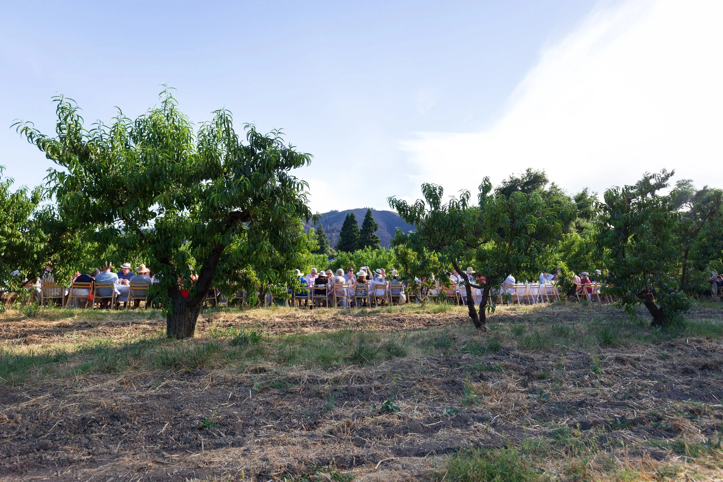 Outstanding in the Field -for web25.jpg