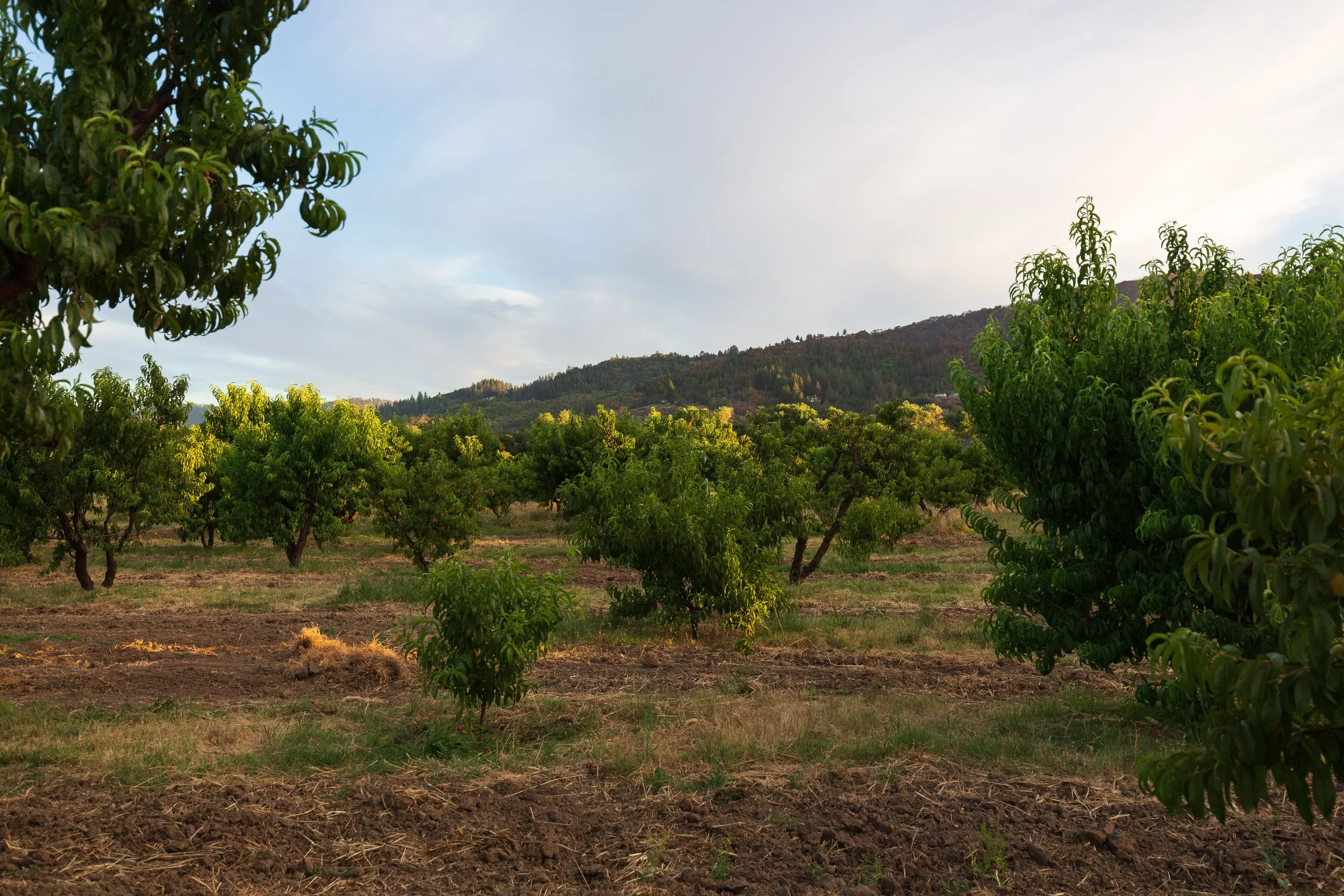Outstanding in the Field -for web47.jpg