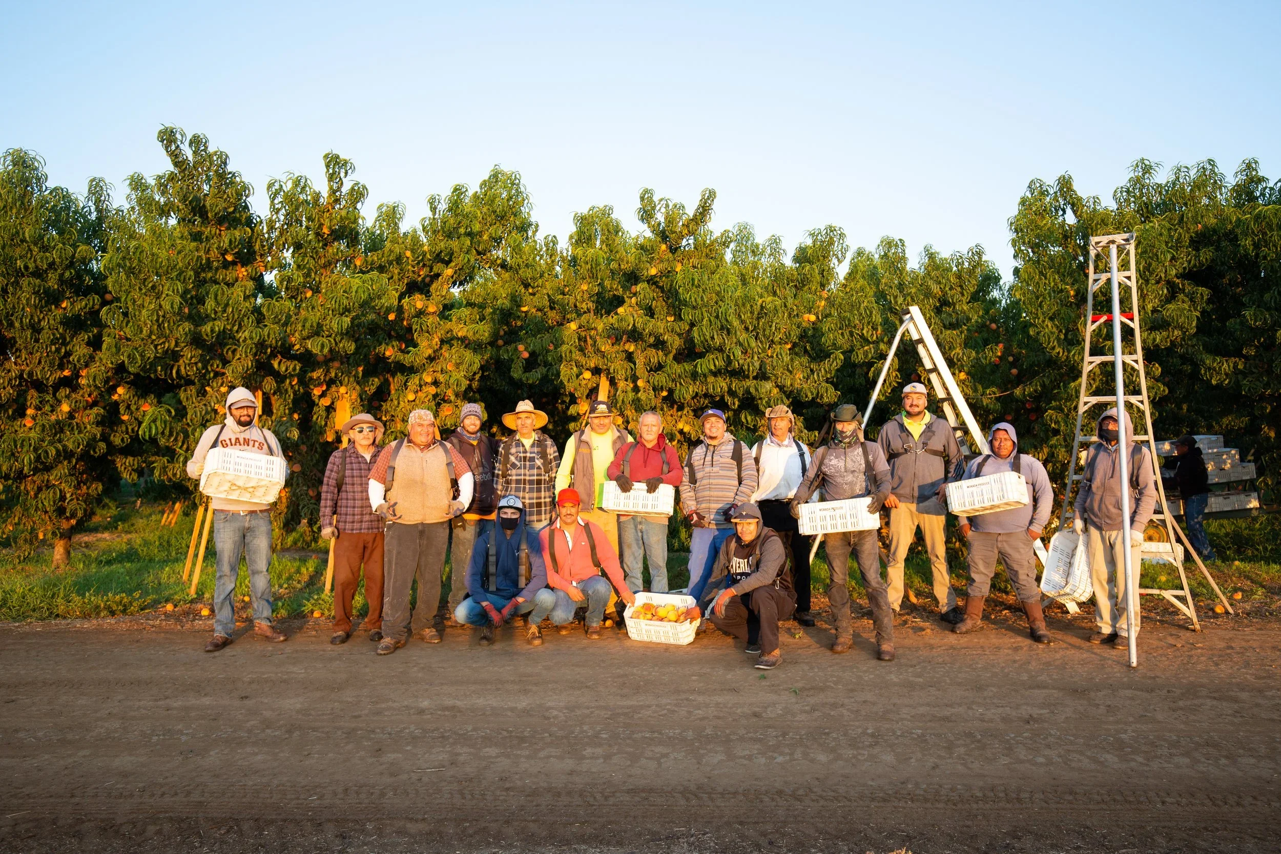 Summerset+Peach+Harvest-6.webp