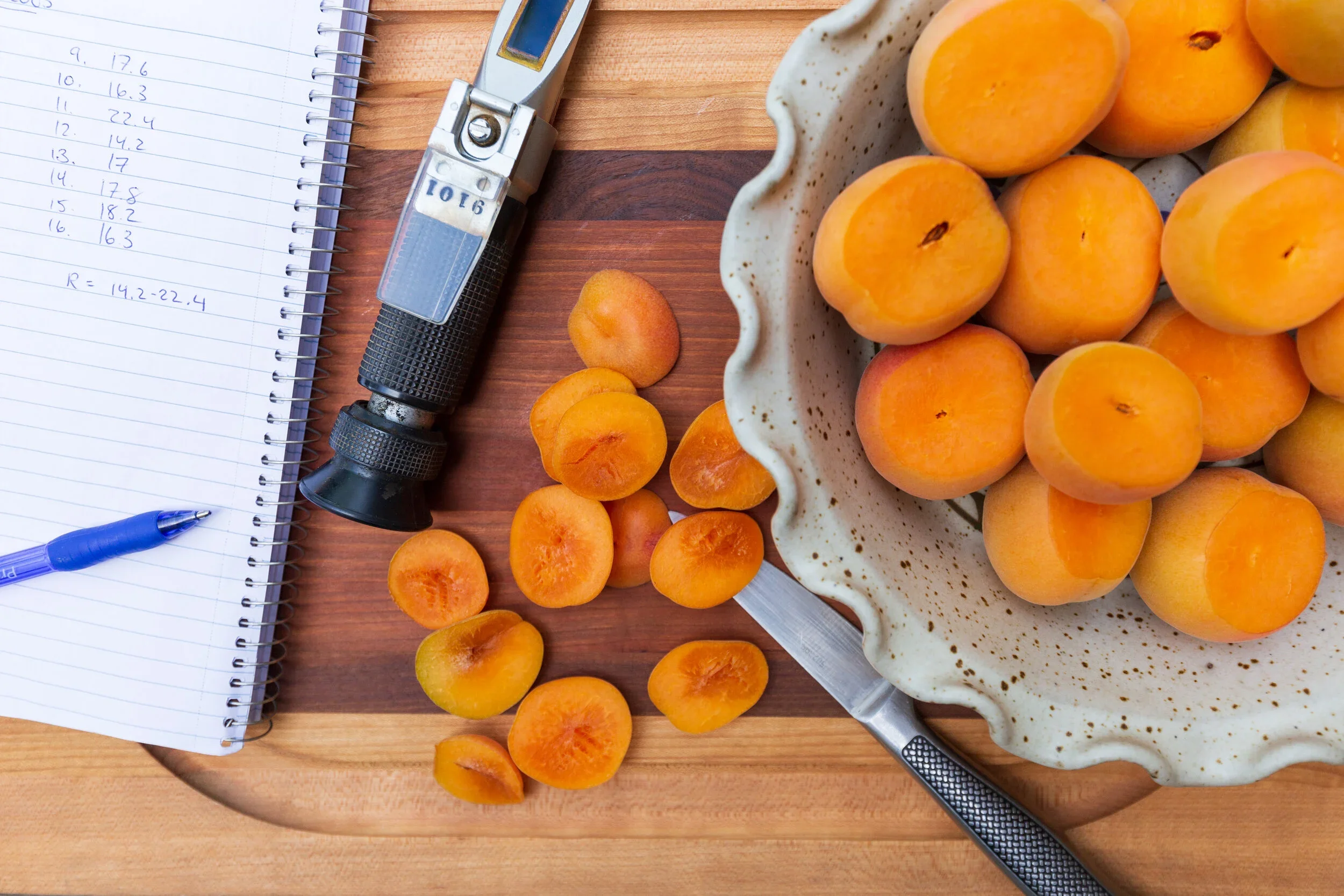 brixing+apricots.webp