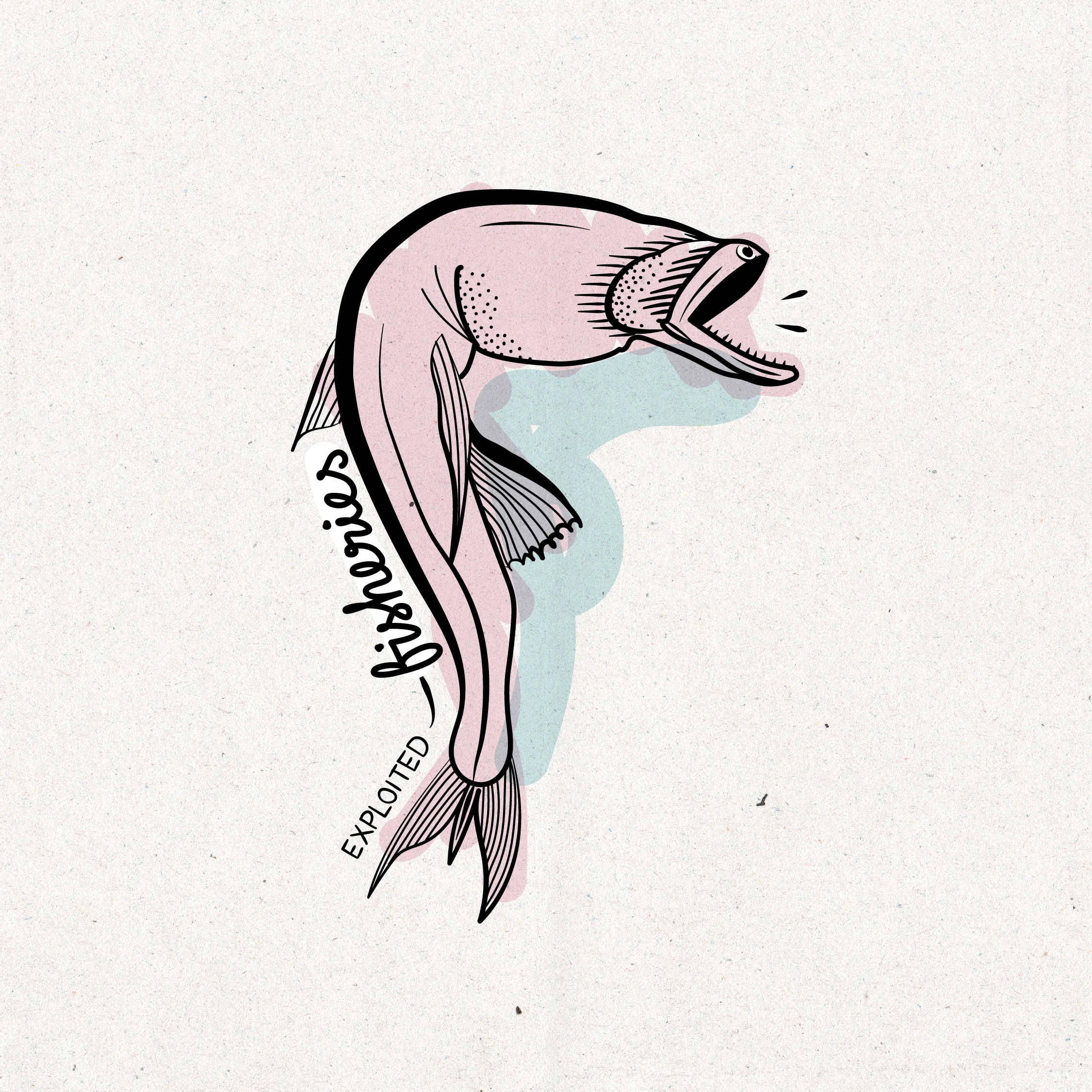 Fish-06.jpg