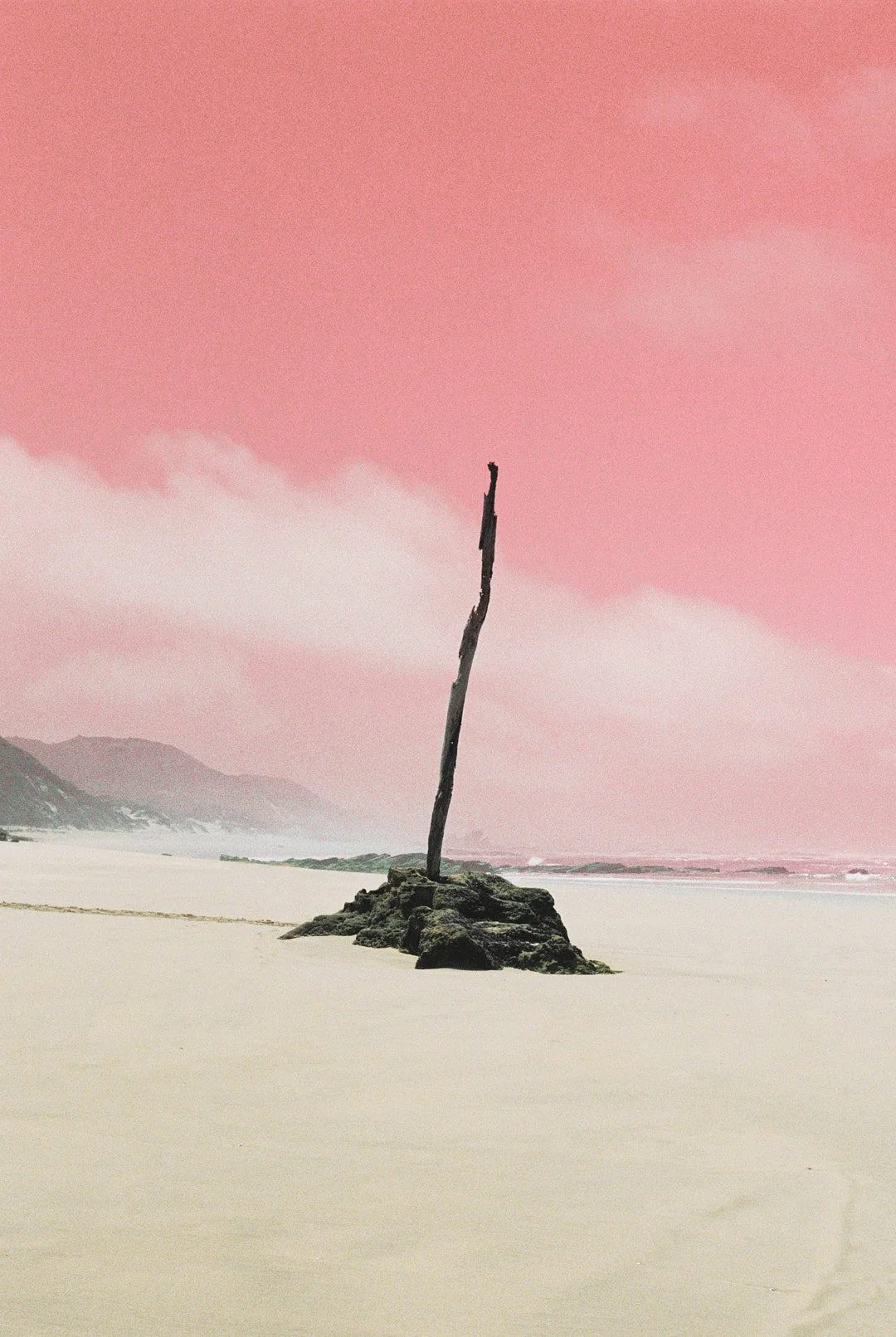 000016.jpg