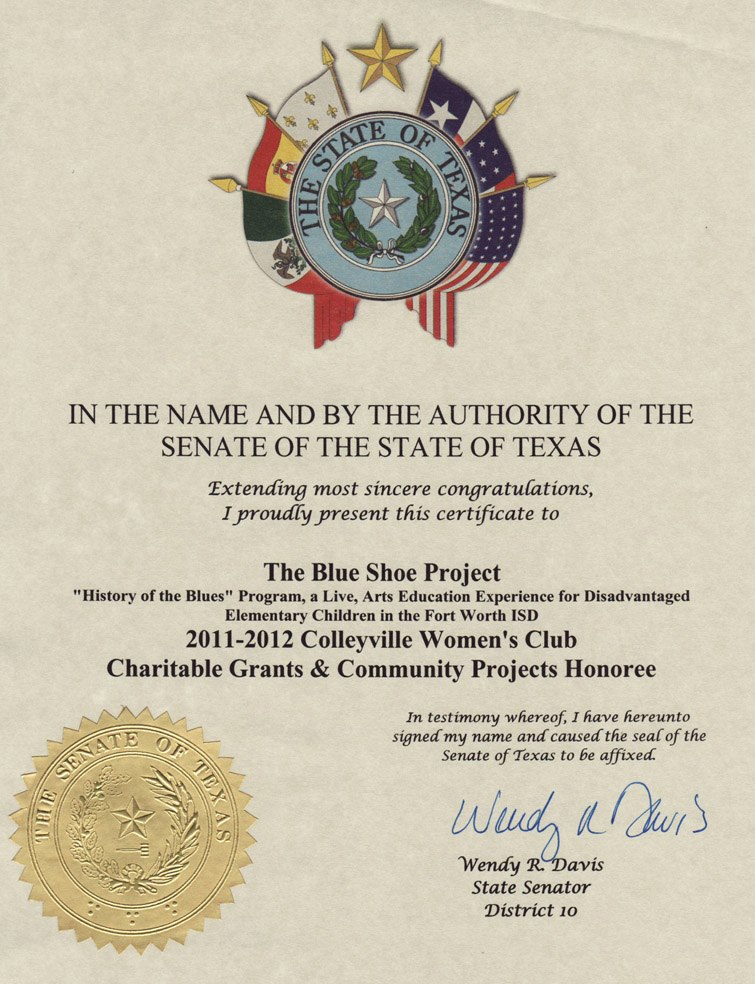 state-of-texas-awards-the-blue-shoe-project.jpg
