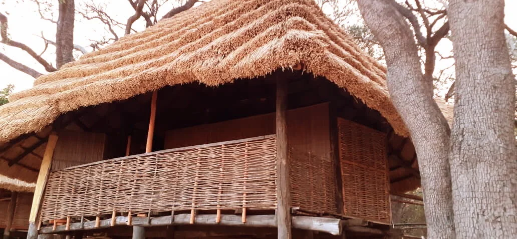 Bungalows.JPG